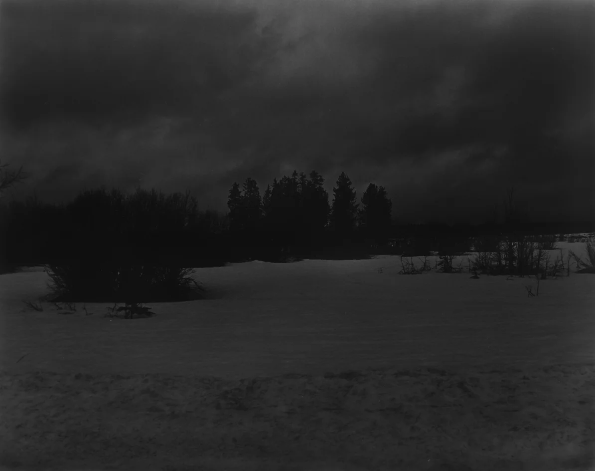 w_DSC2612-2.jpg