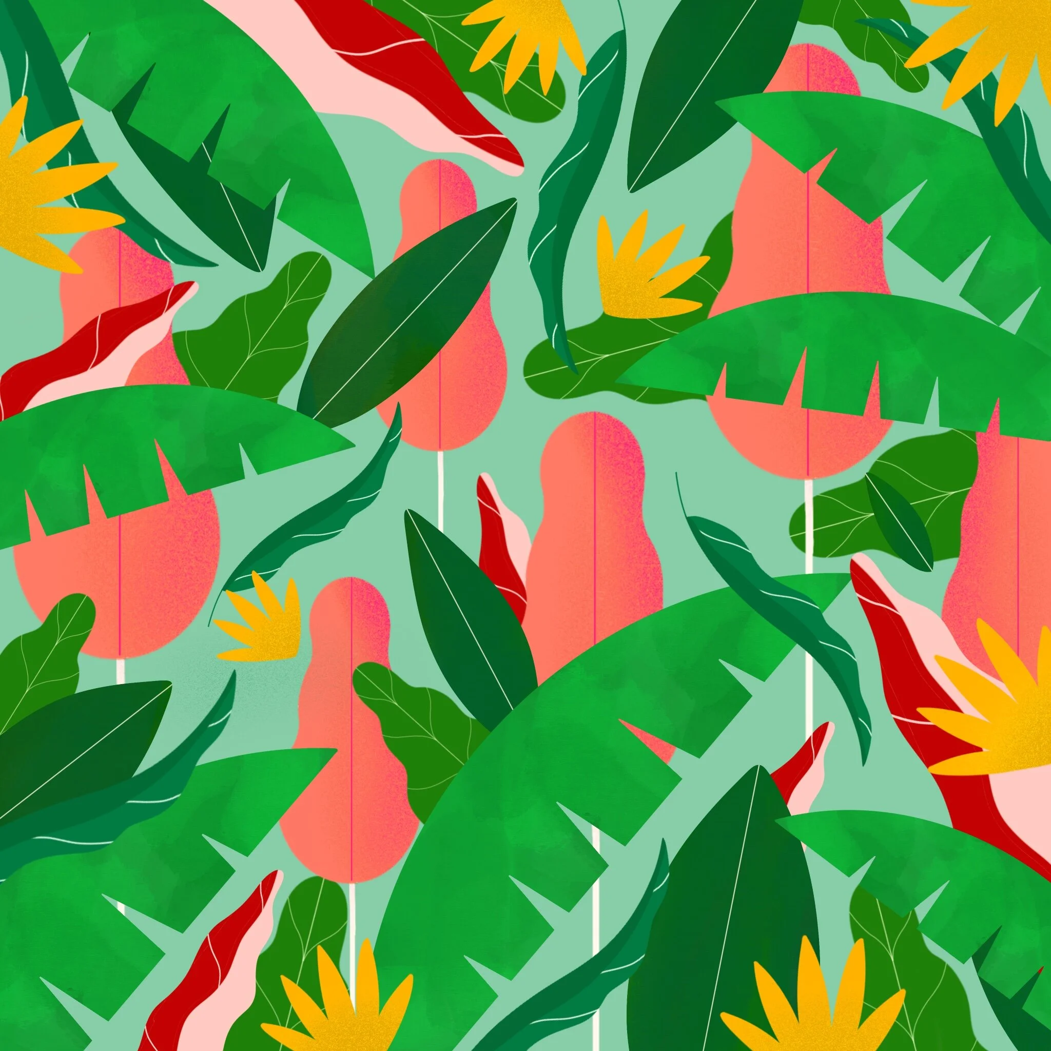 Nasrin Jafari - Designer & Illustrator