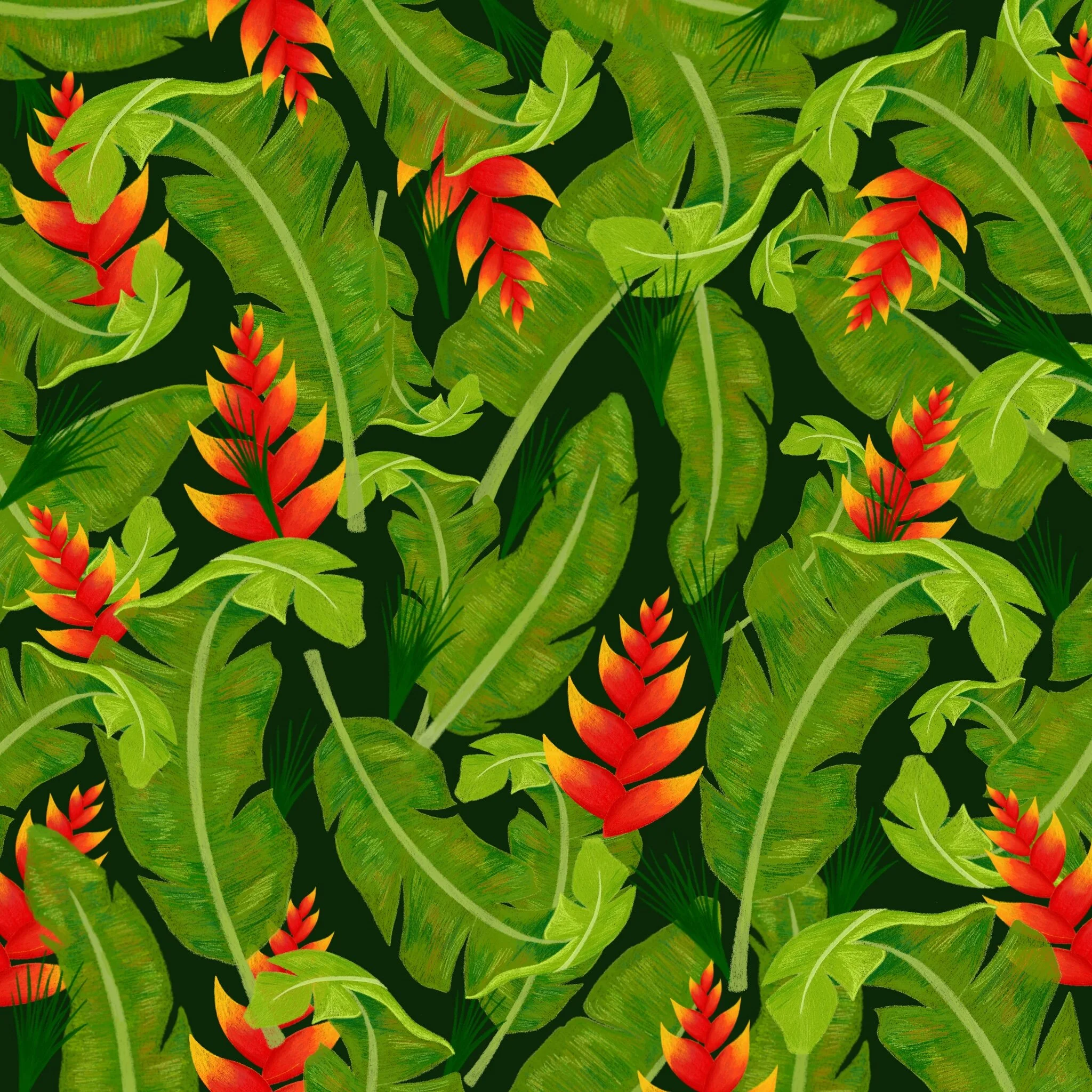 Nasrin Jafari - Designer & Illustrator