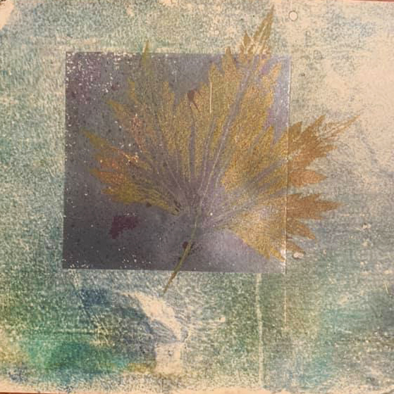 Sheri Reed