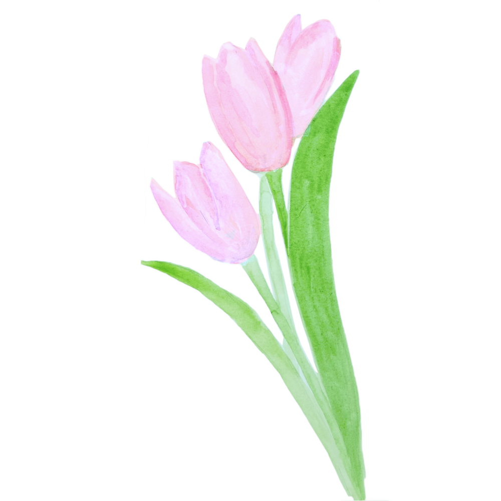 11.png