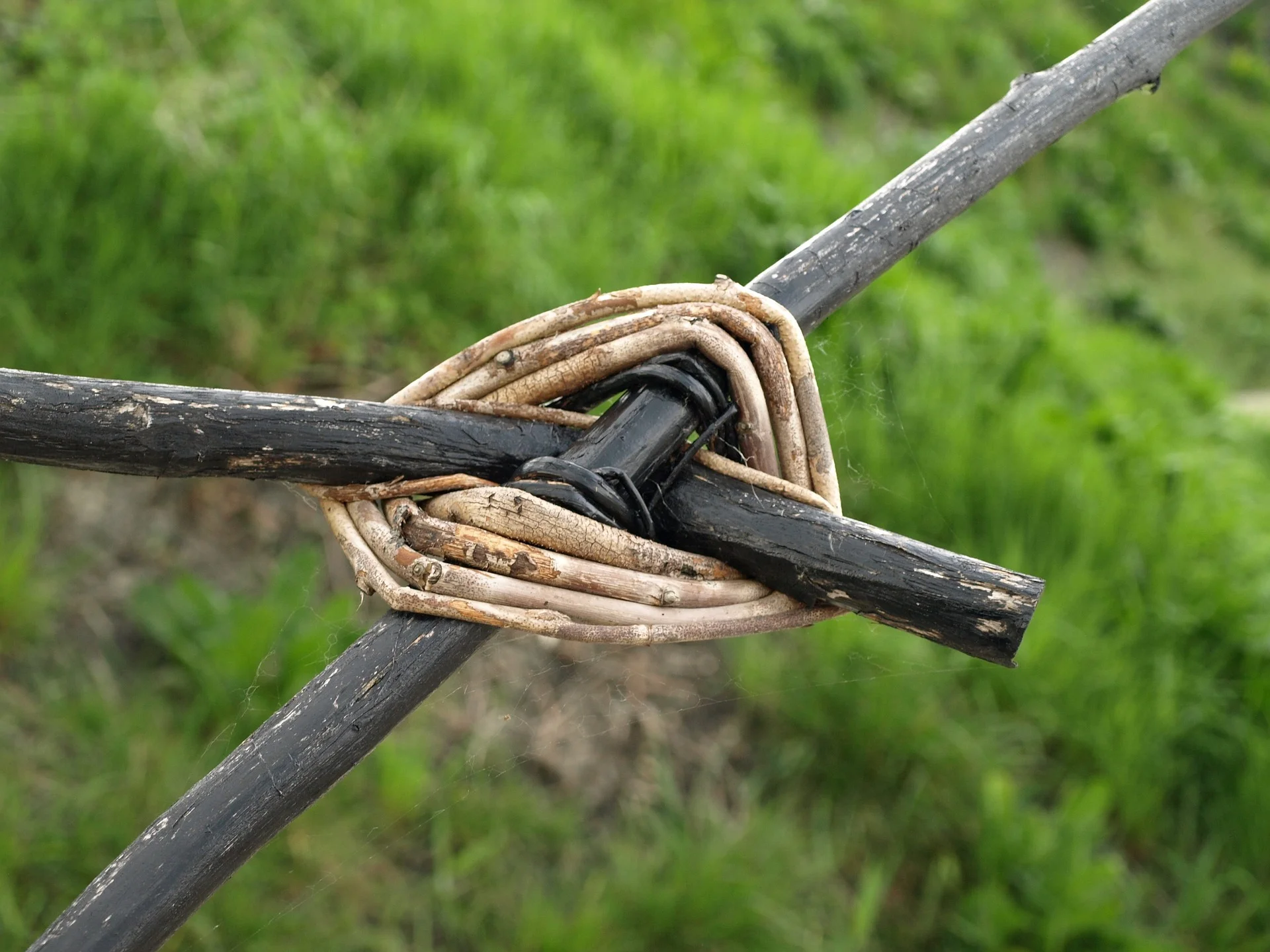 connected.jpg