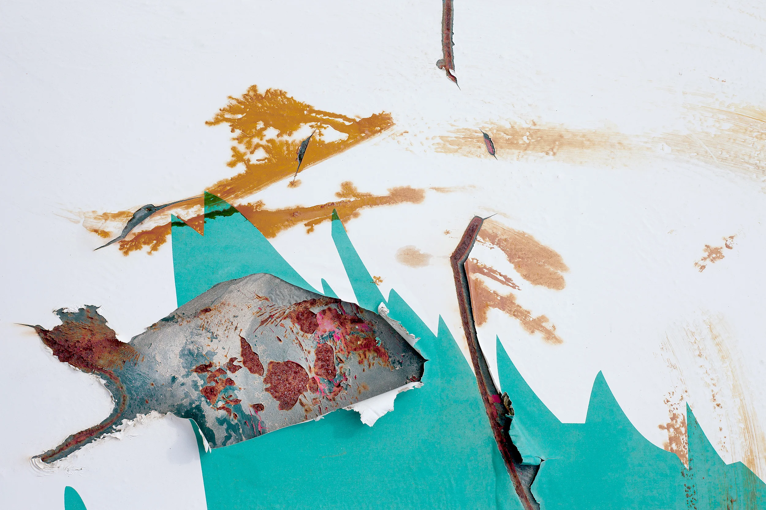 Fish-In-Ocean-Scene-In-Torn-Dumpster-Decal_07127.jpg