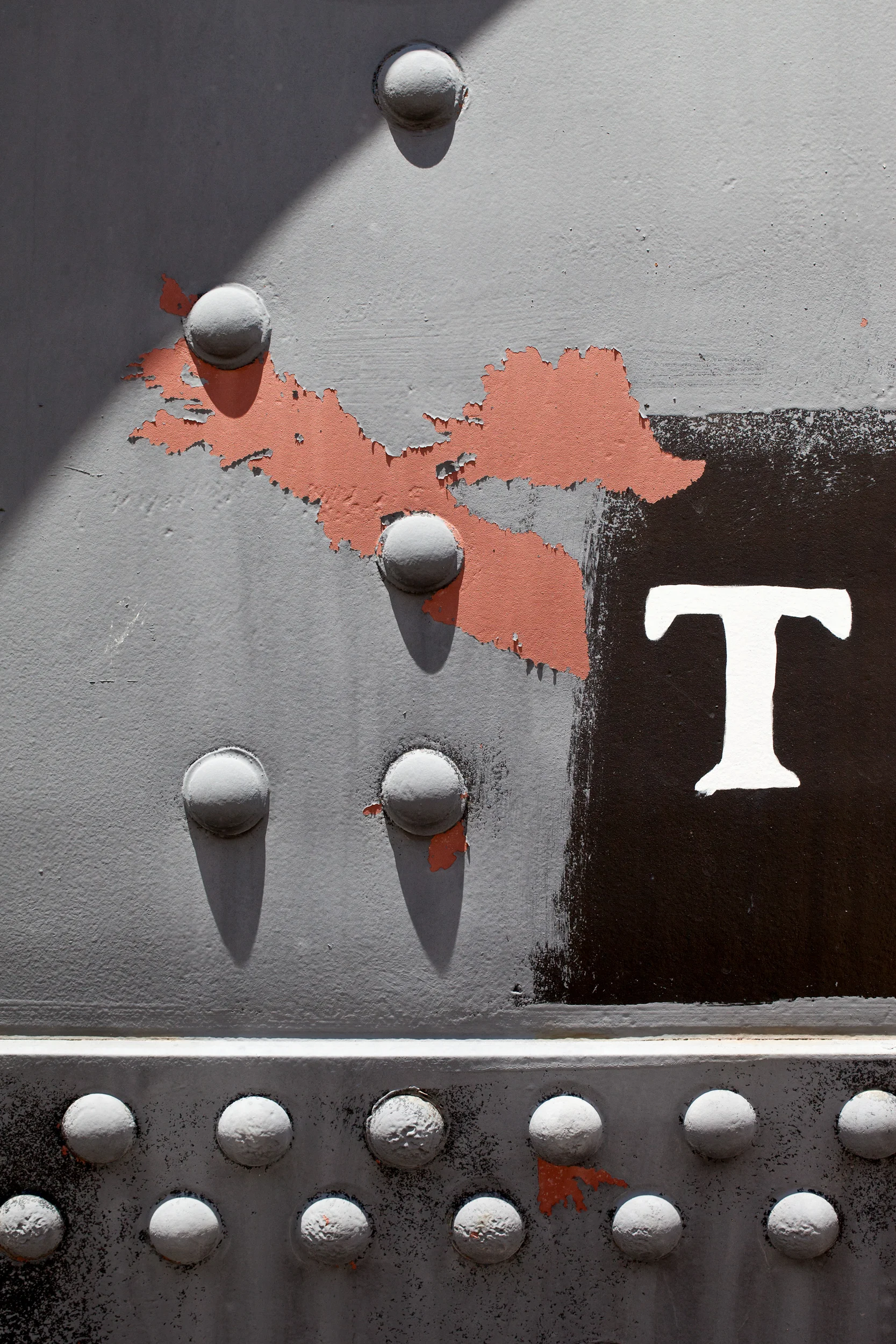 Missing-Paint-Animal-W-Hand-Painted-T-Locomotive-Grapevine-Trains-TX_106518.jpg