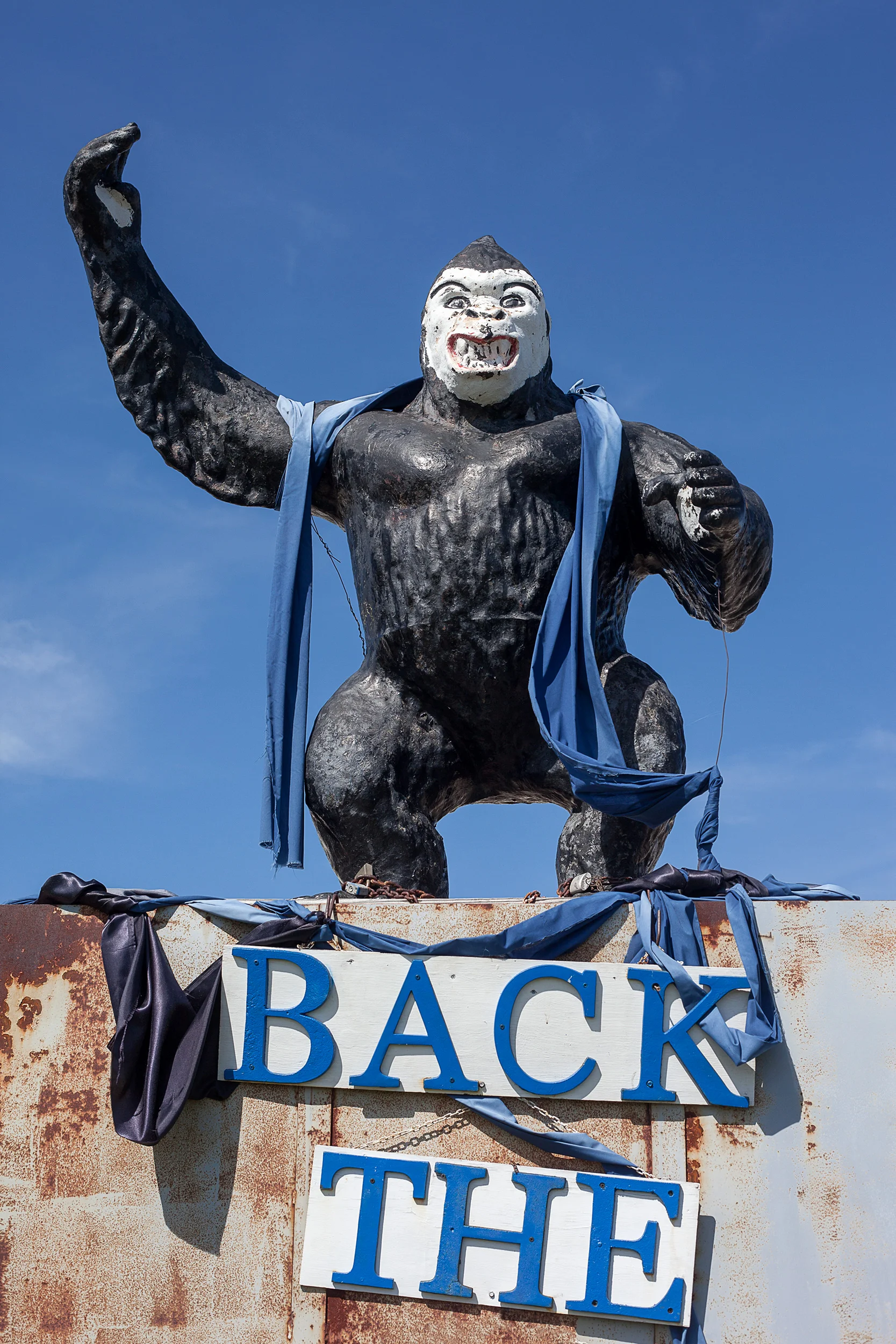 Ape-On-Metal-Box-W-Signs-And-Blue-Draping-Rt-80-Antique-Store-Texas_86503.jpg