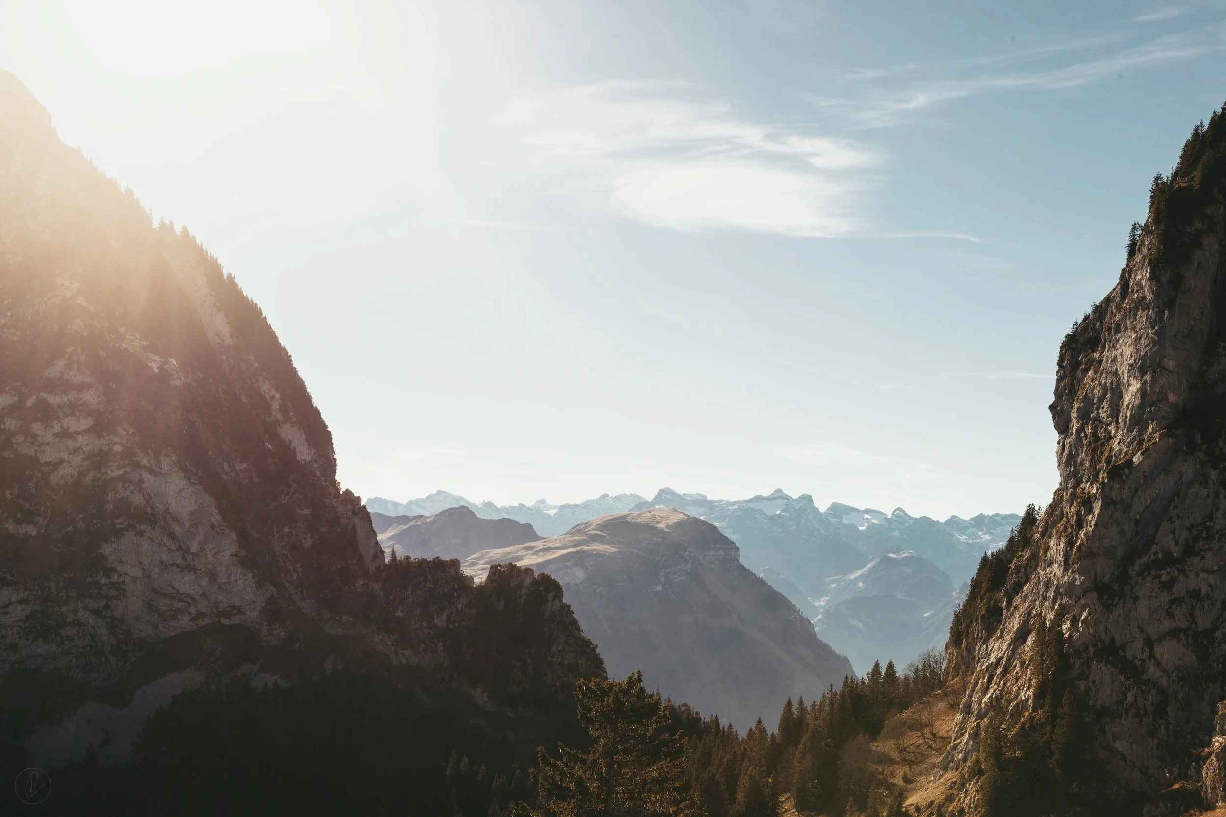 Photo by Dino Reichmuth on Unsplash