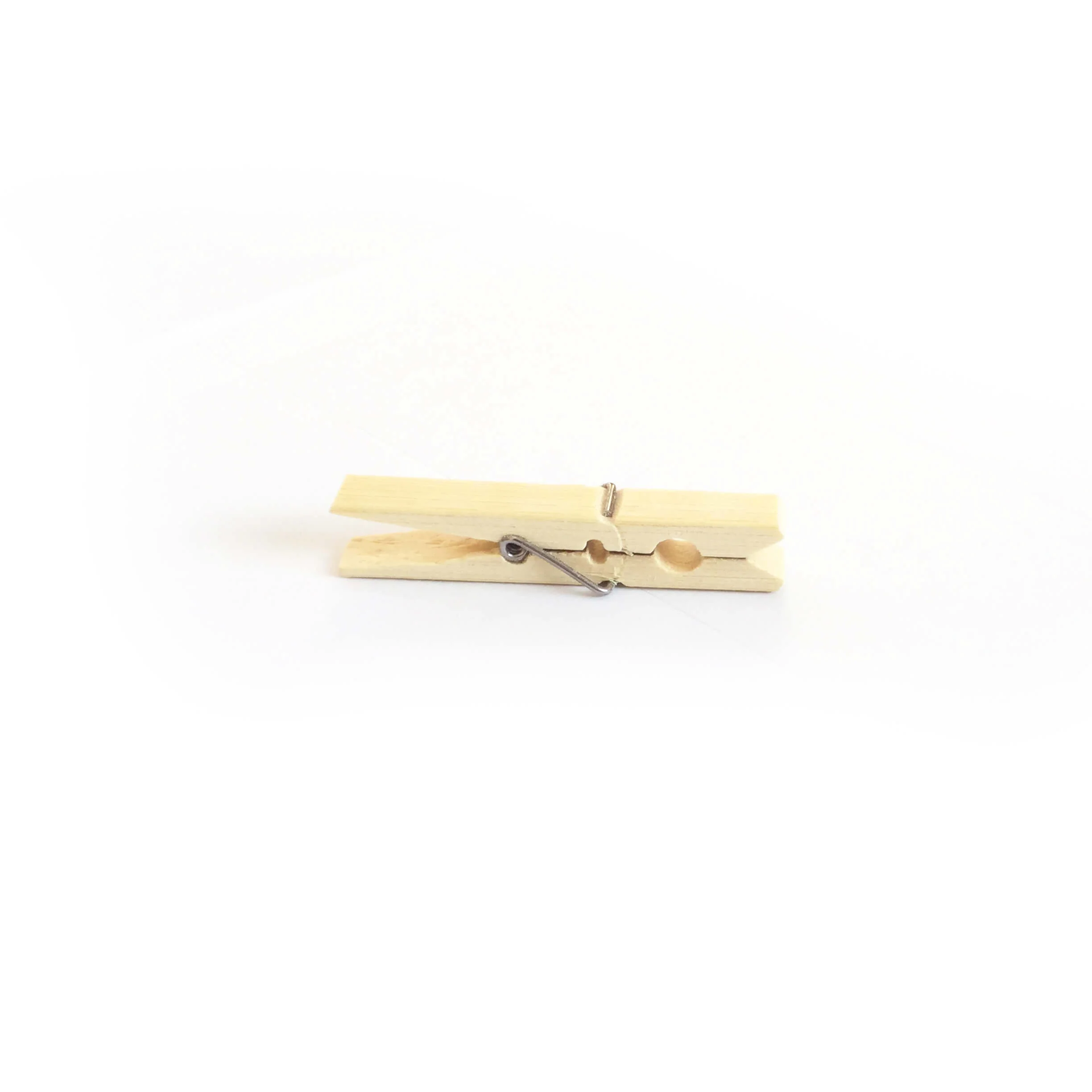 Reusable bamboo pegs.jpg
