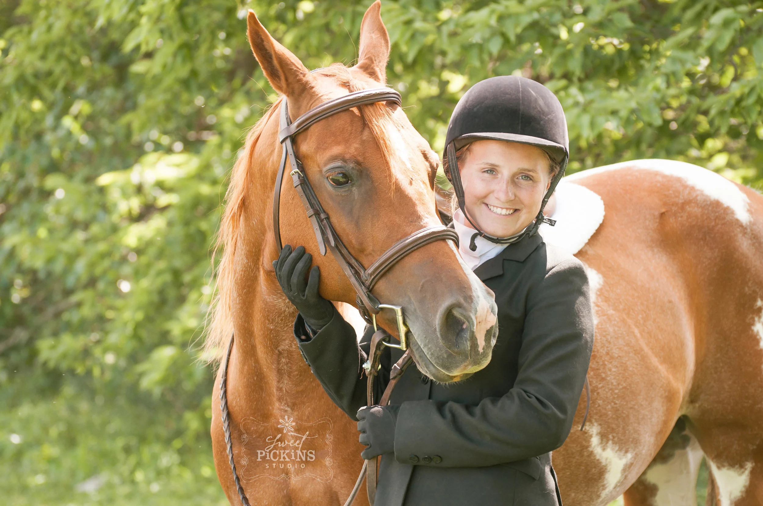 Equestrian Horse Portrait Photography Session | Greentown, IN