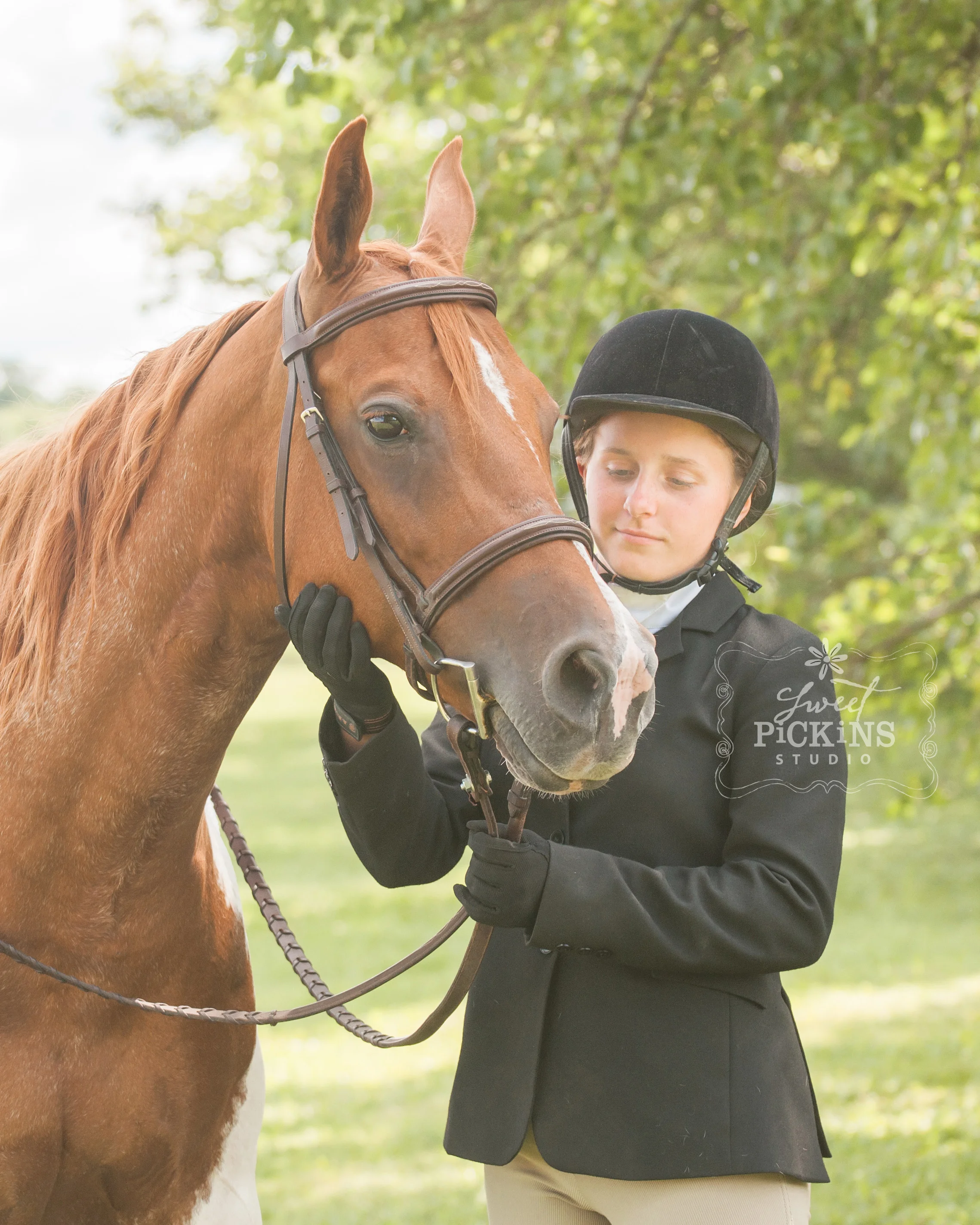 Horse Show Mini Portrait Photography Session | Sweet Pickins Studio