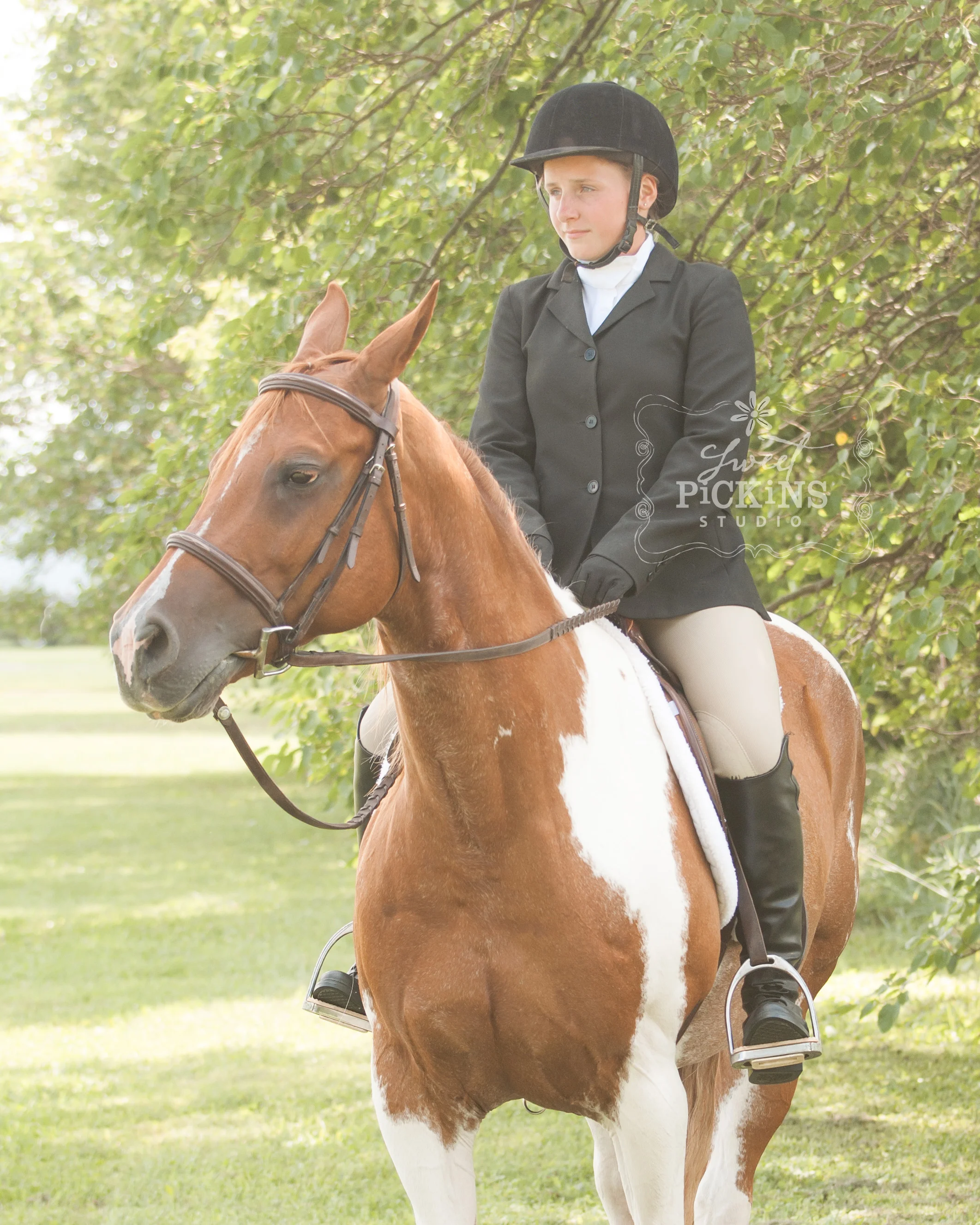 Equestrian Horse Portrait Photographer | Sweet Pickins Studio