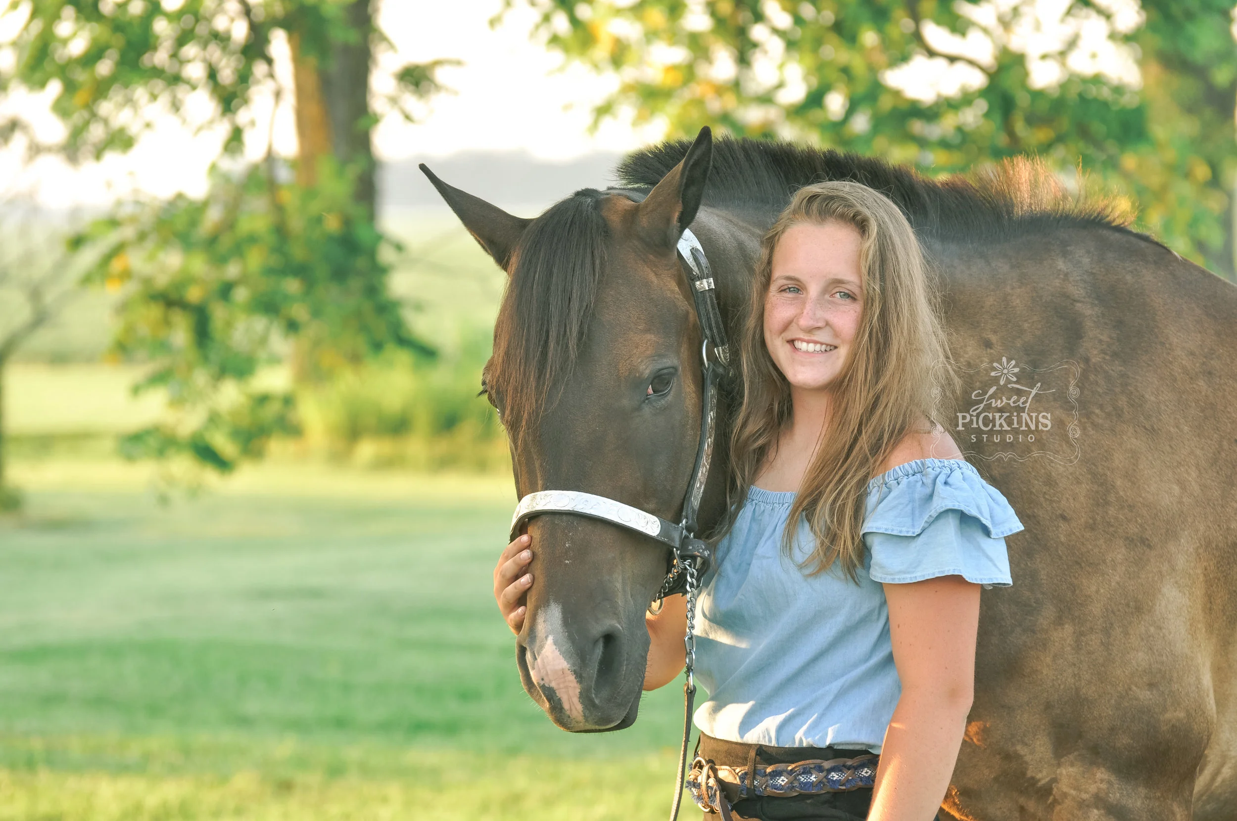 Peru, Indiana Equine Portrait Session