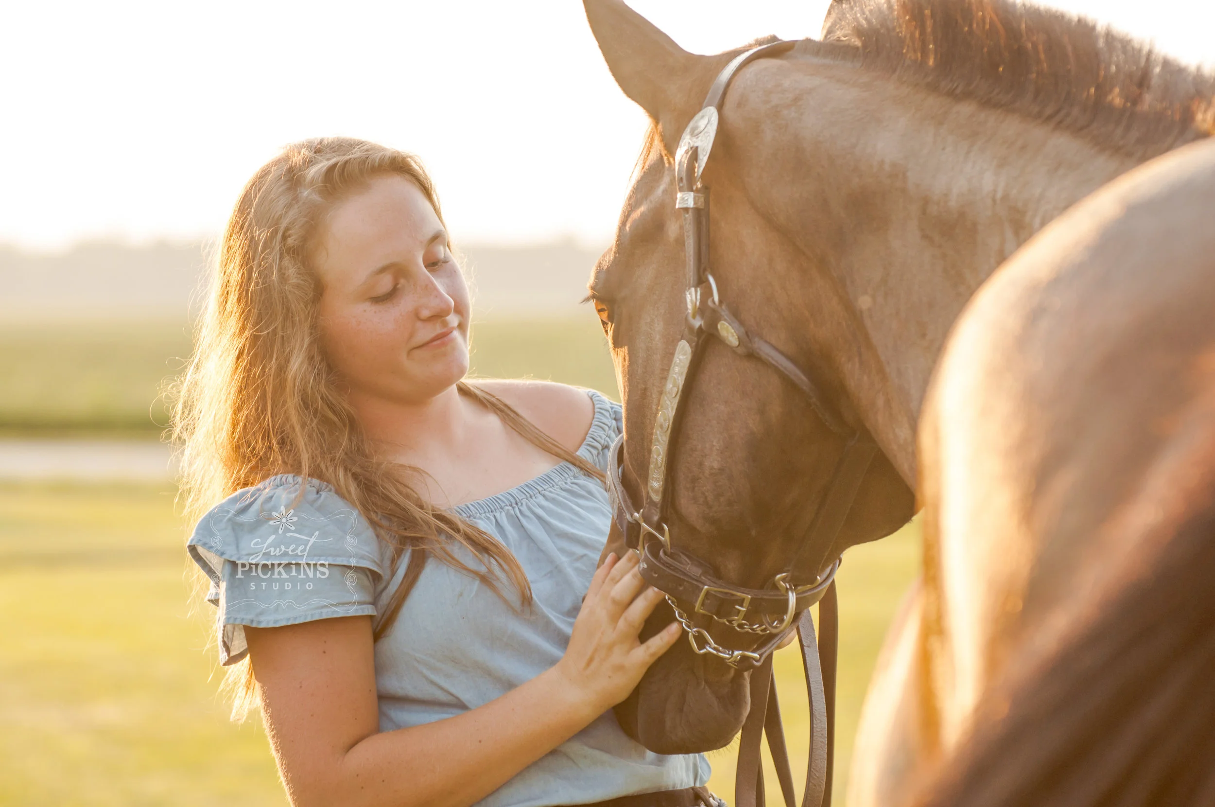 Peru, Indiana Horse Lifestyle Photography Session by Sweet Pickins Studio