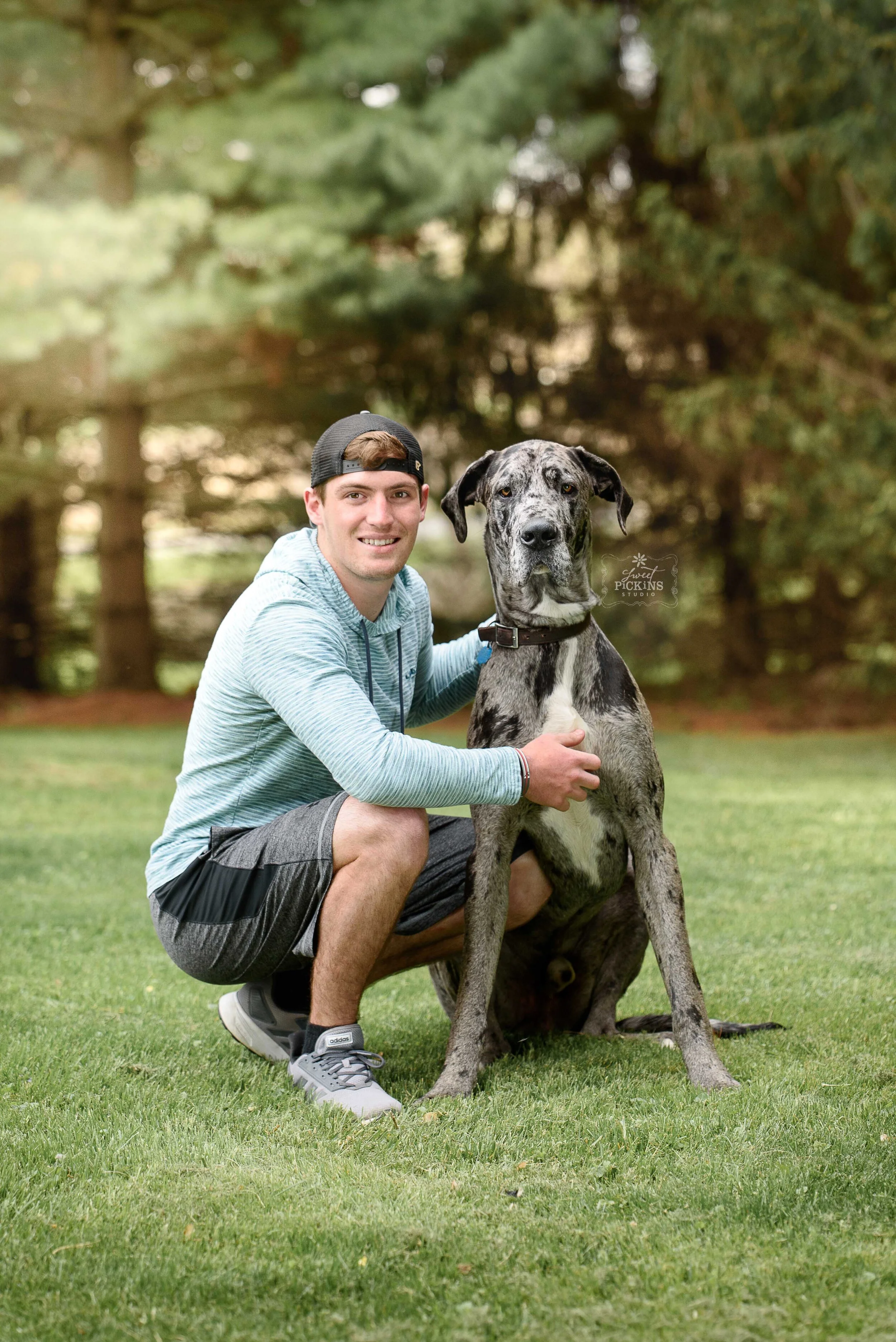 Peru, Indiana Senior Photography with Great Dane Dog (Copy)