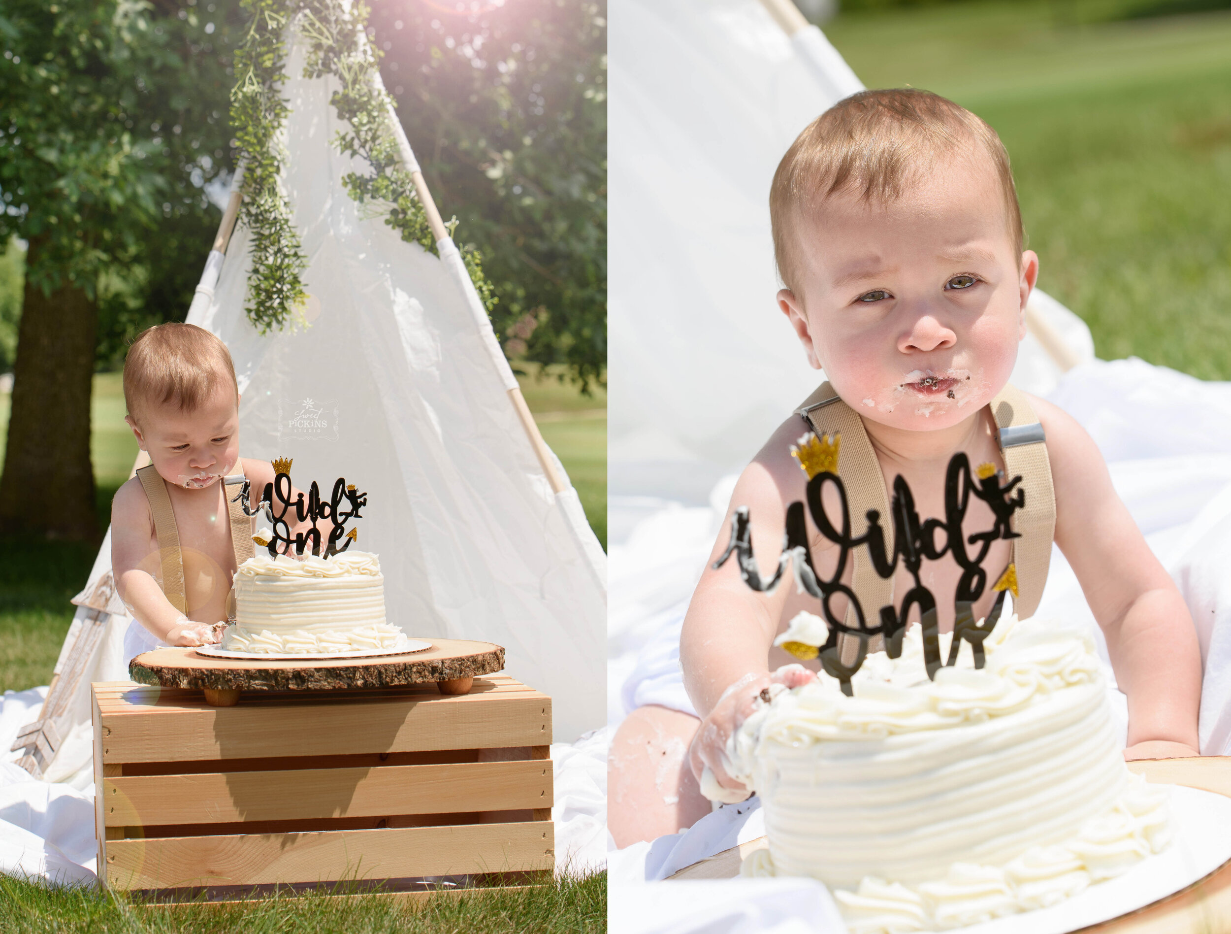 Wild One Cake Smash One Year Birthday Milestone