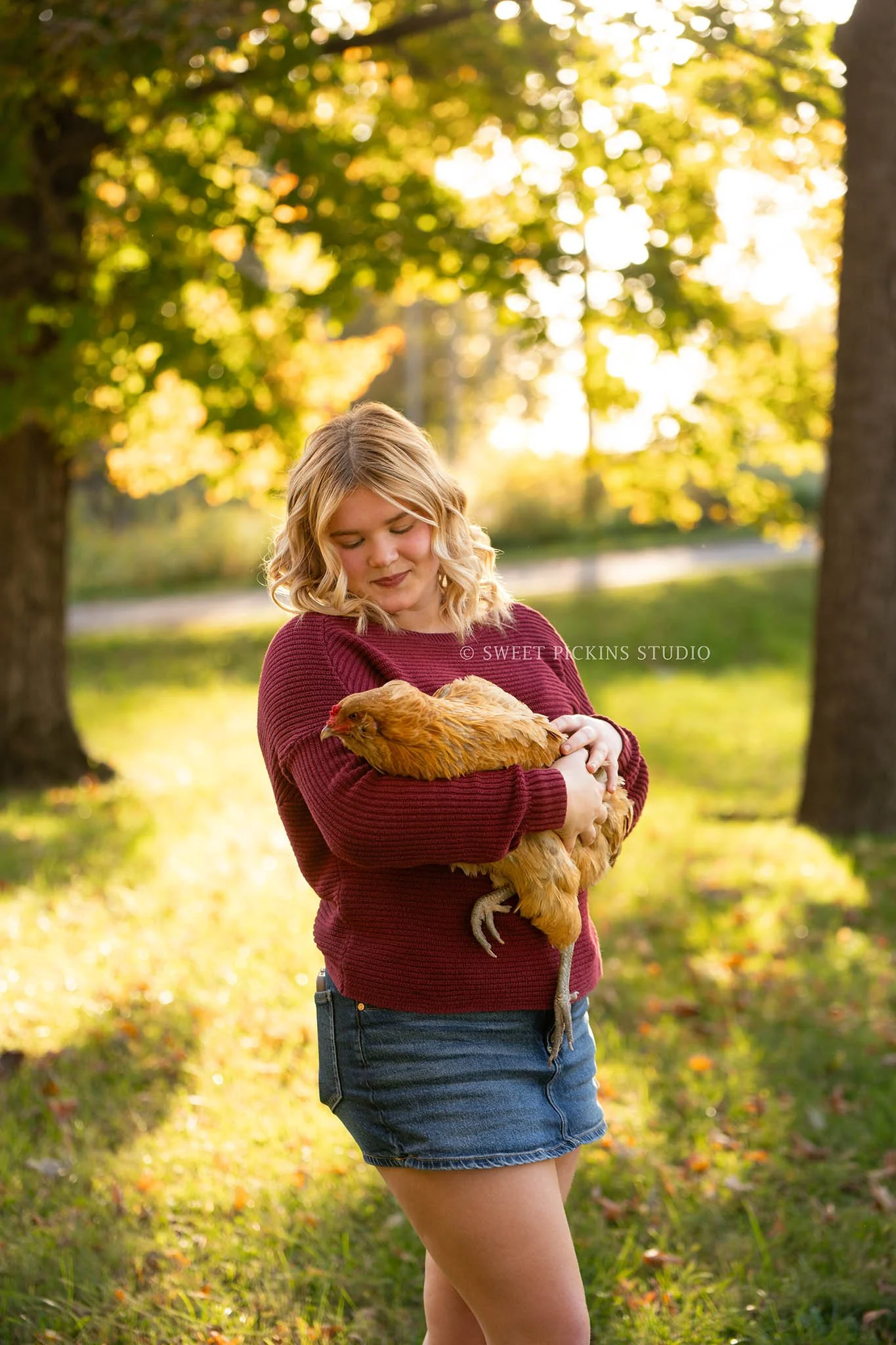 Rilynn’s Peru, Indiana Fall Senior Portrait Photography with pet chicken for Maconaquah High School class of 2027 senior girl wearing maroon sweater and denim skirt by Sweet Pickins Studio senior photographer Amanda Wilson ©