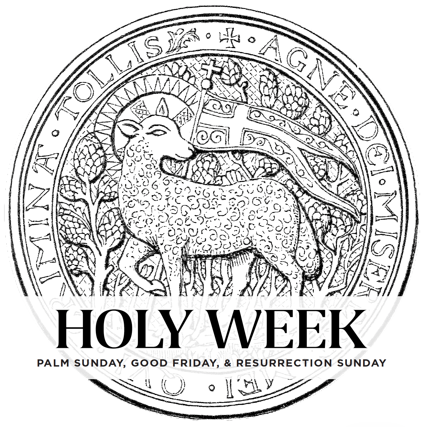 The Resurrection Is The Gospel (Acts 13.30-39)