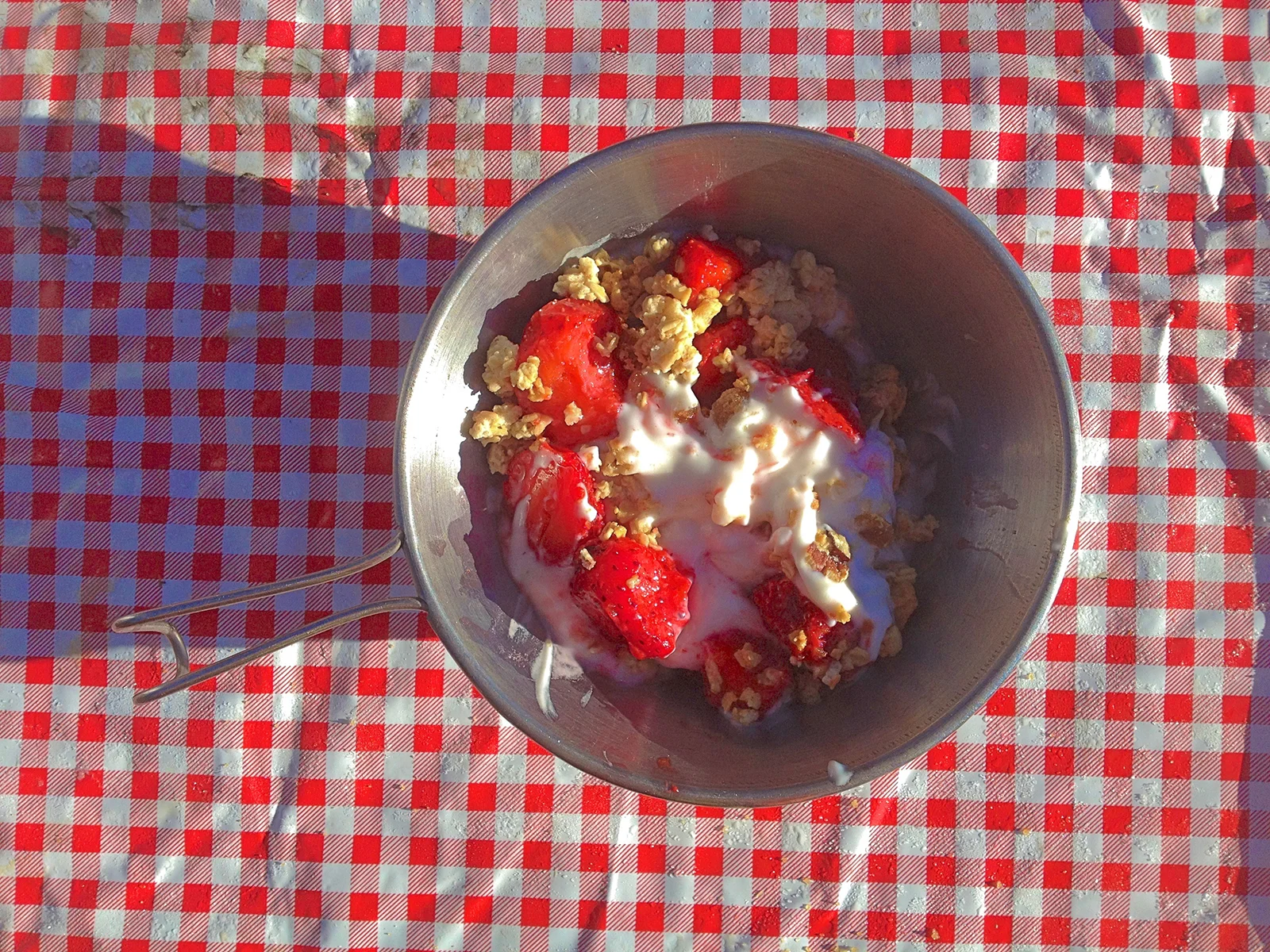 strawberries granola cup_1600.jpg