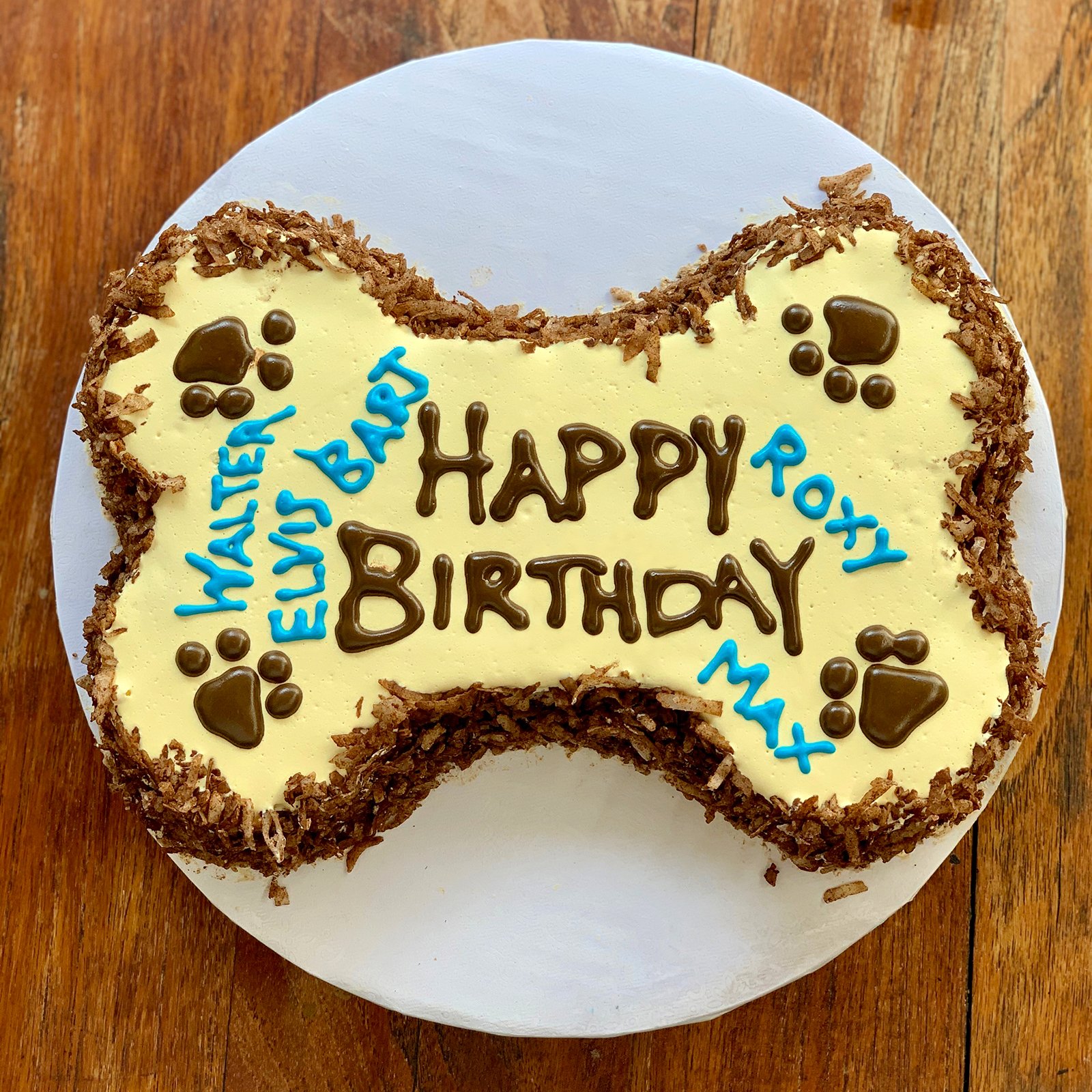 5_DOG-BDAY_CAKE_SQ_F_1600.jpg