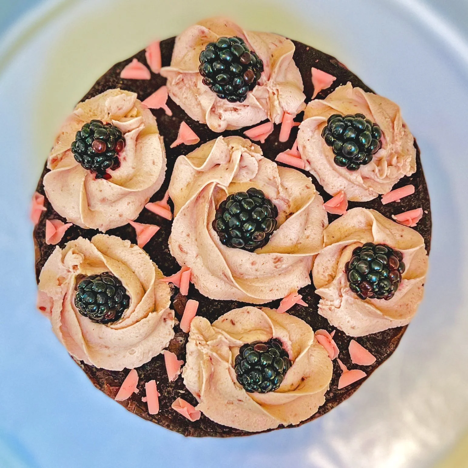CHOC_RASP_CAKE_SQ_2.jpg
