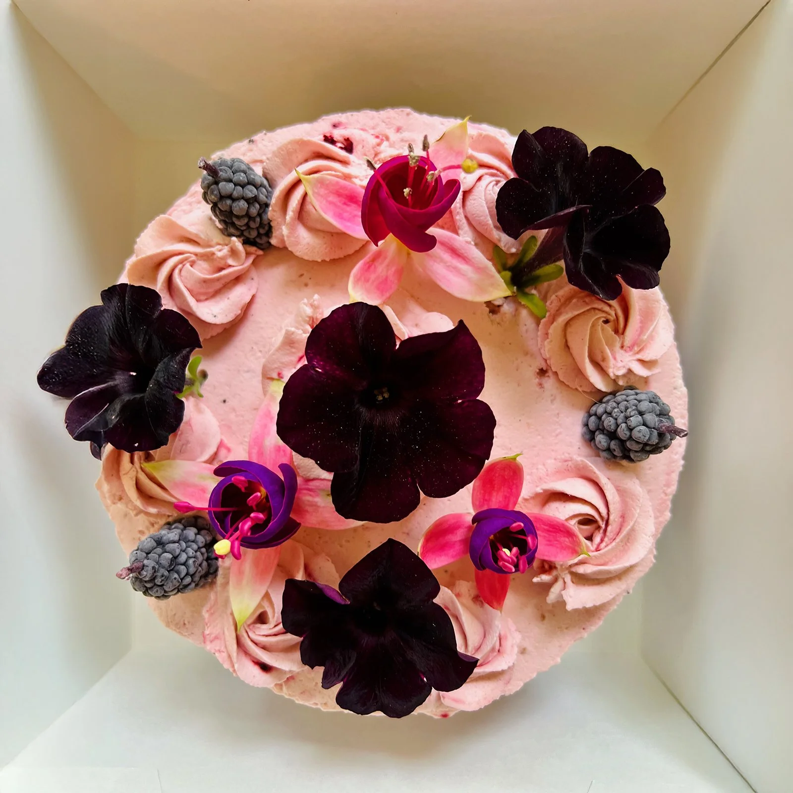 Blackberry_cake_1600.jpg