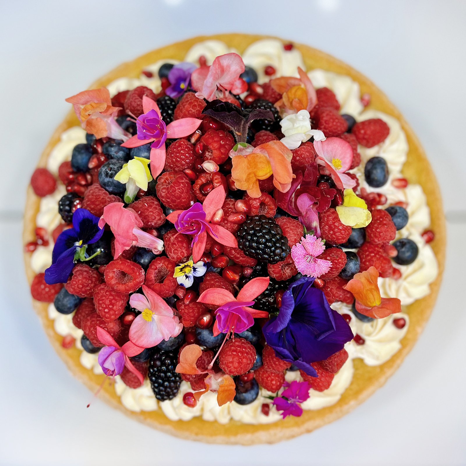 Cat_Cake_Top_1600.jpg