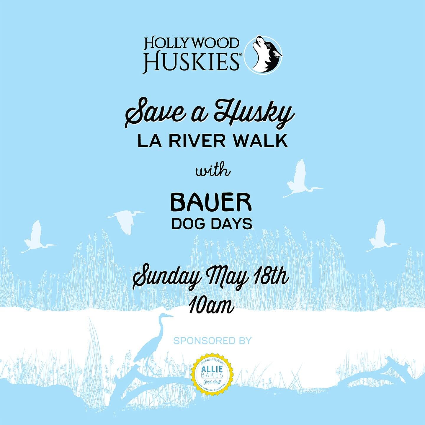 SAVE A HUSKY LA RIVER WALK! 

Please join Allie Bakes and Bauer Dog Days for a great cause in support of Hollywood Huskies!

DATE: Sunday 5/18
TIME: 10 AM
LOCATION: 1767 Blake Ave, Los Angeles, CA 90031

Come and gather with your huskies at the Bauer