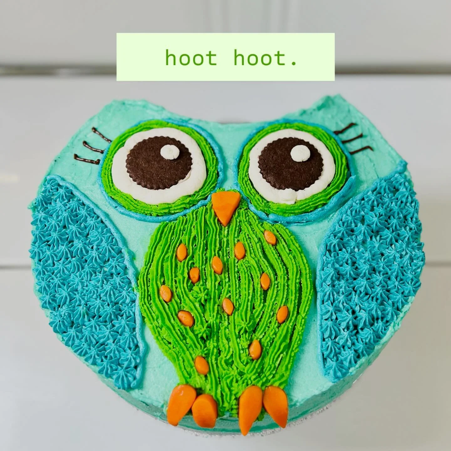 RARE LOS LOS ANGELES BLUE OWL. 
I couldn&rsquo;t resist making a cake for the LA Raptor Study Volunteer Party 
Thank you @friendsofgriffithpark for throwing this party every year. Hanging with bird people is just the best. Thank you also to @nuritdka