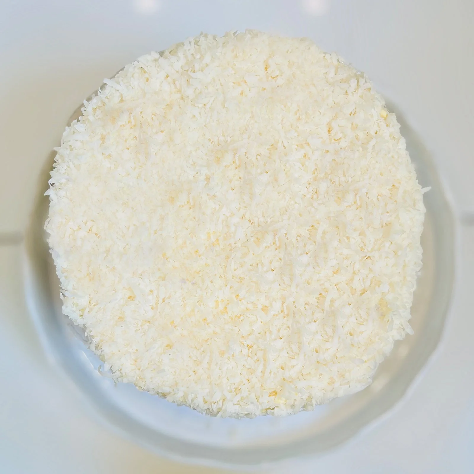 COCCONUT CAKE PLAIN TOP_1600.jpg