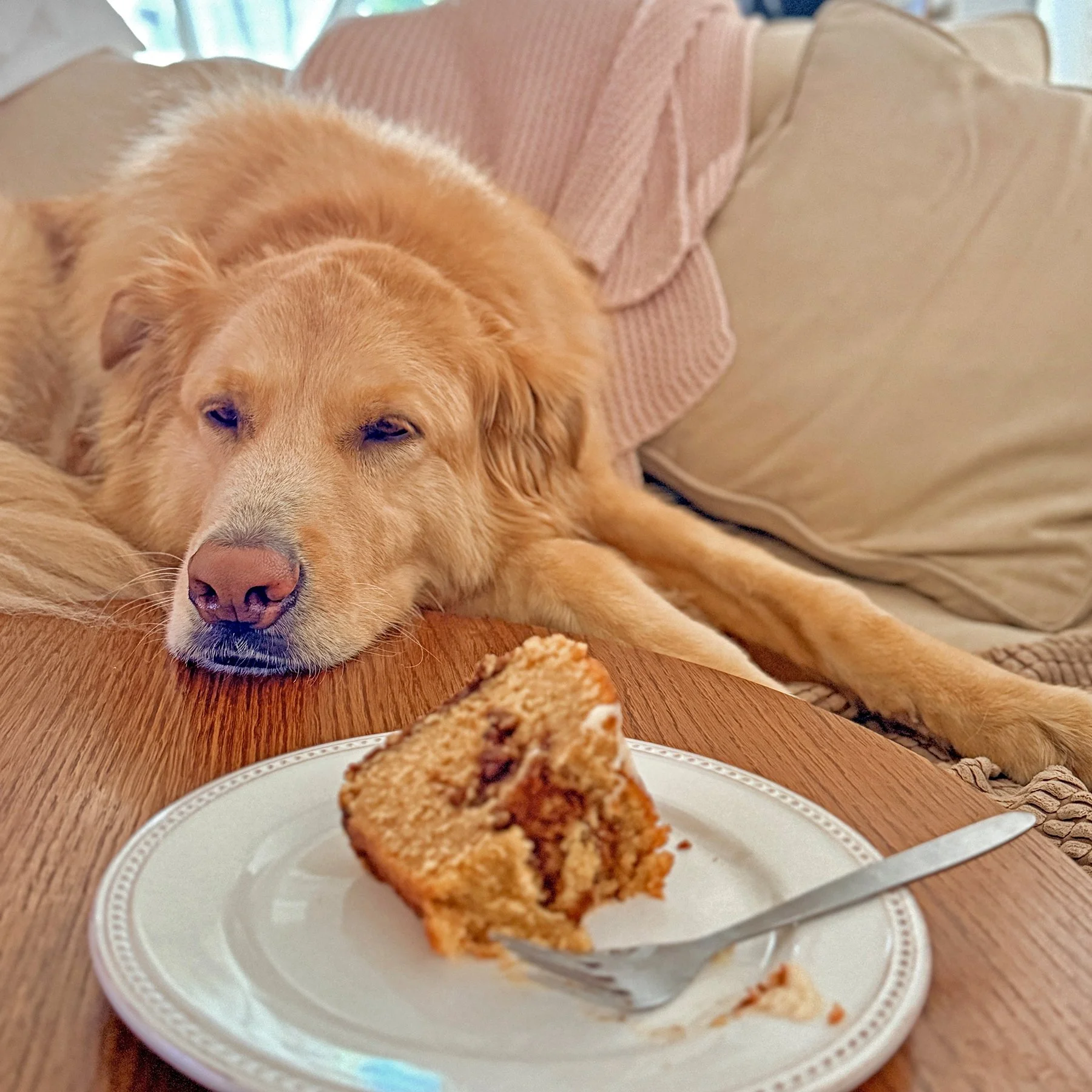 Butters_cake_1800.jpg
