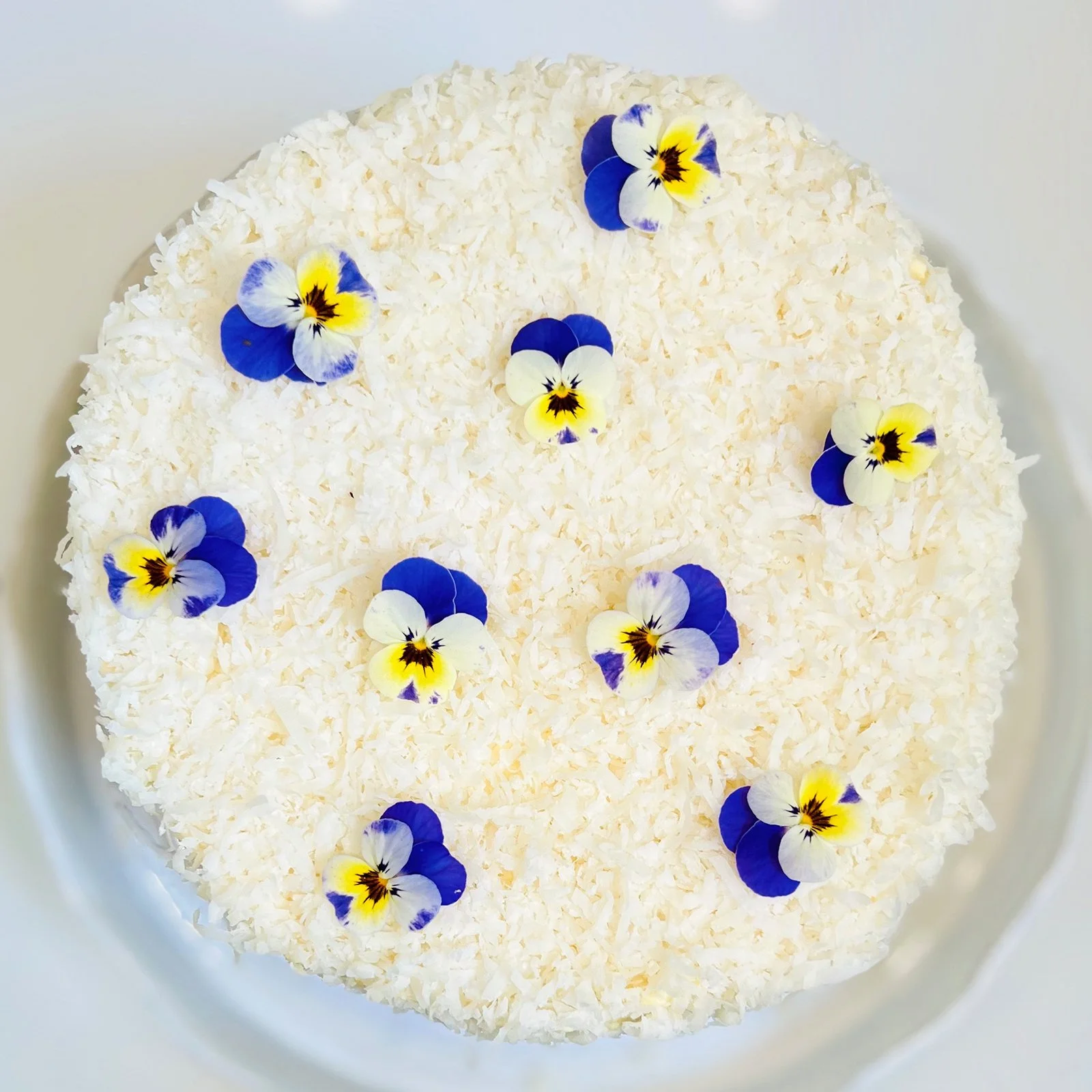 Coconut_Cake_TOP_SQ_1600.jpg