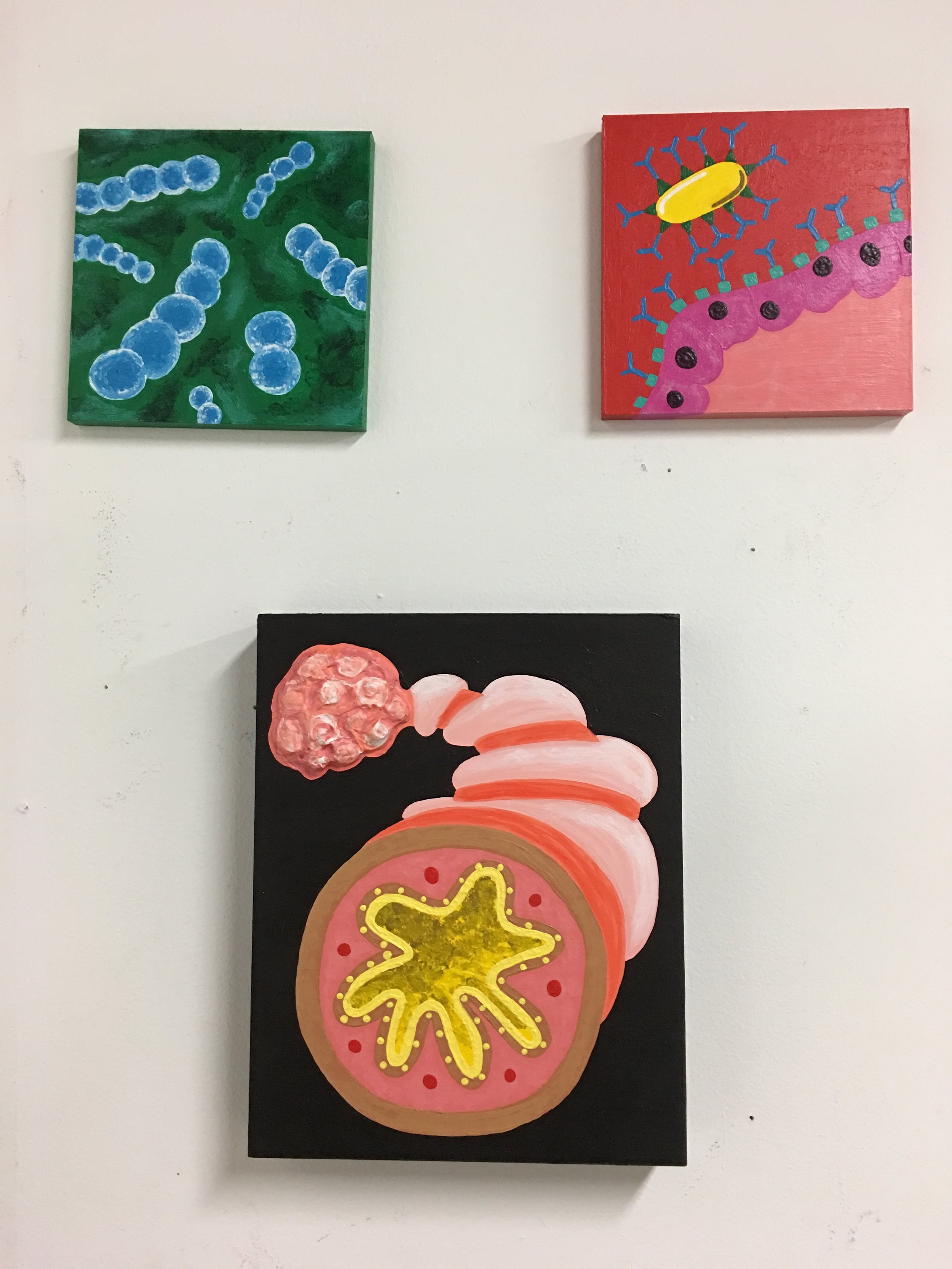 Small paintings of diseases