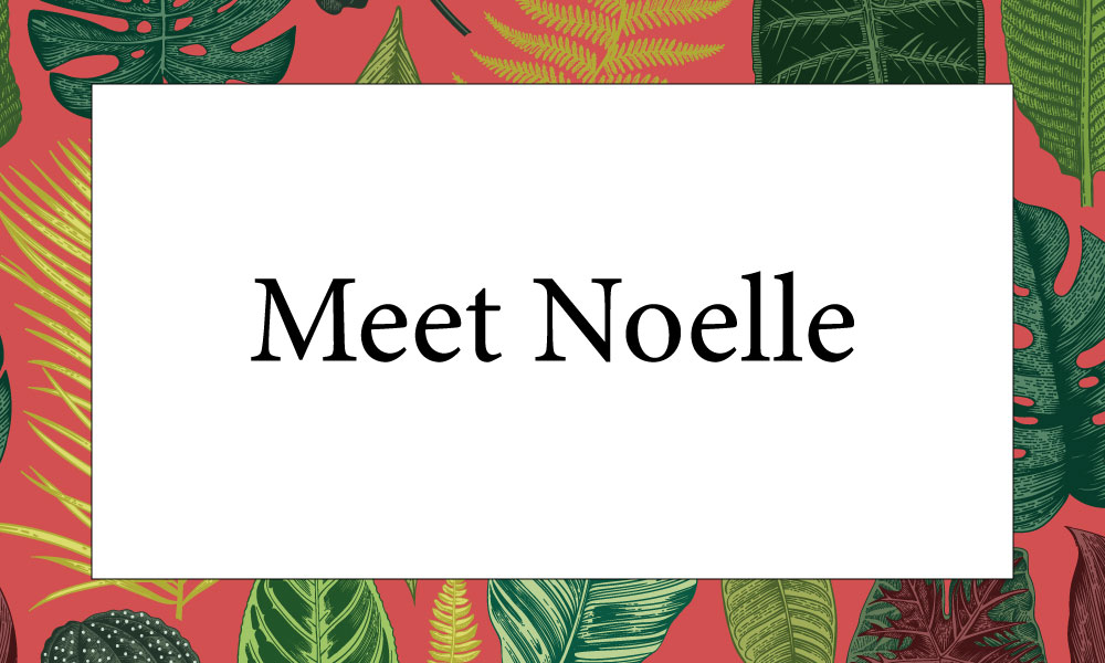 Meet-Noelle.jpg