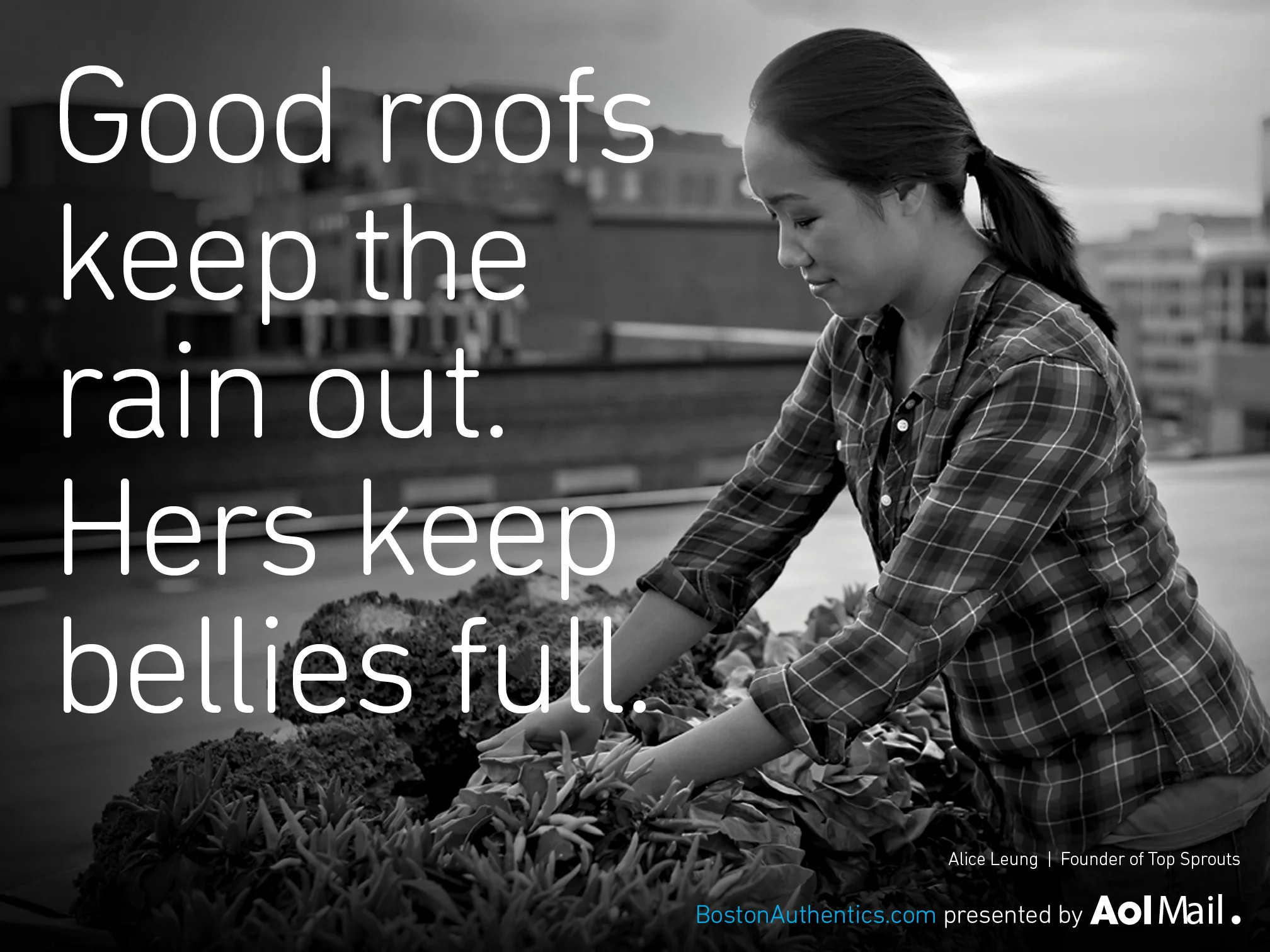 AOLroofPoster.jpg