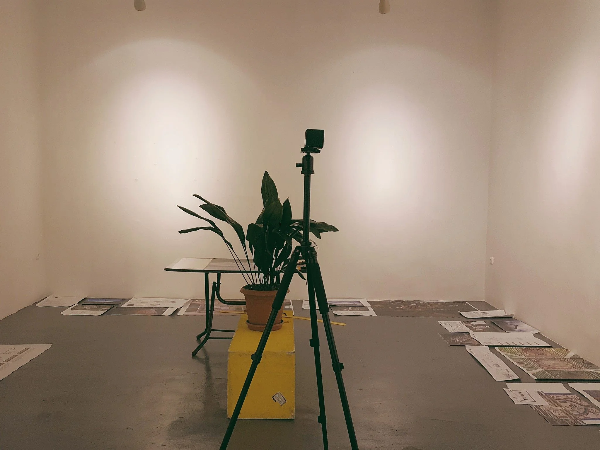 26910142_1729746720378686_6181412445880012425_o (1).jpg