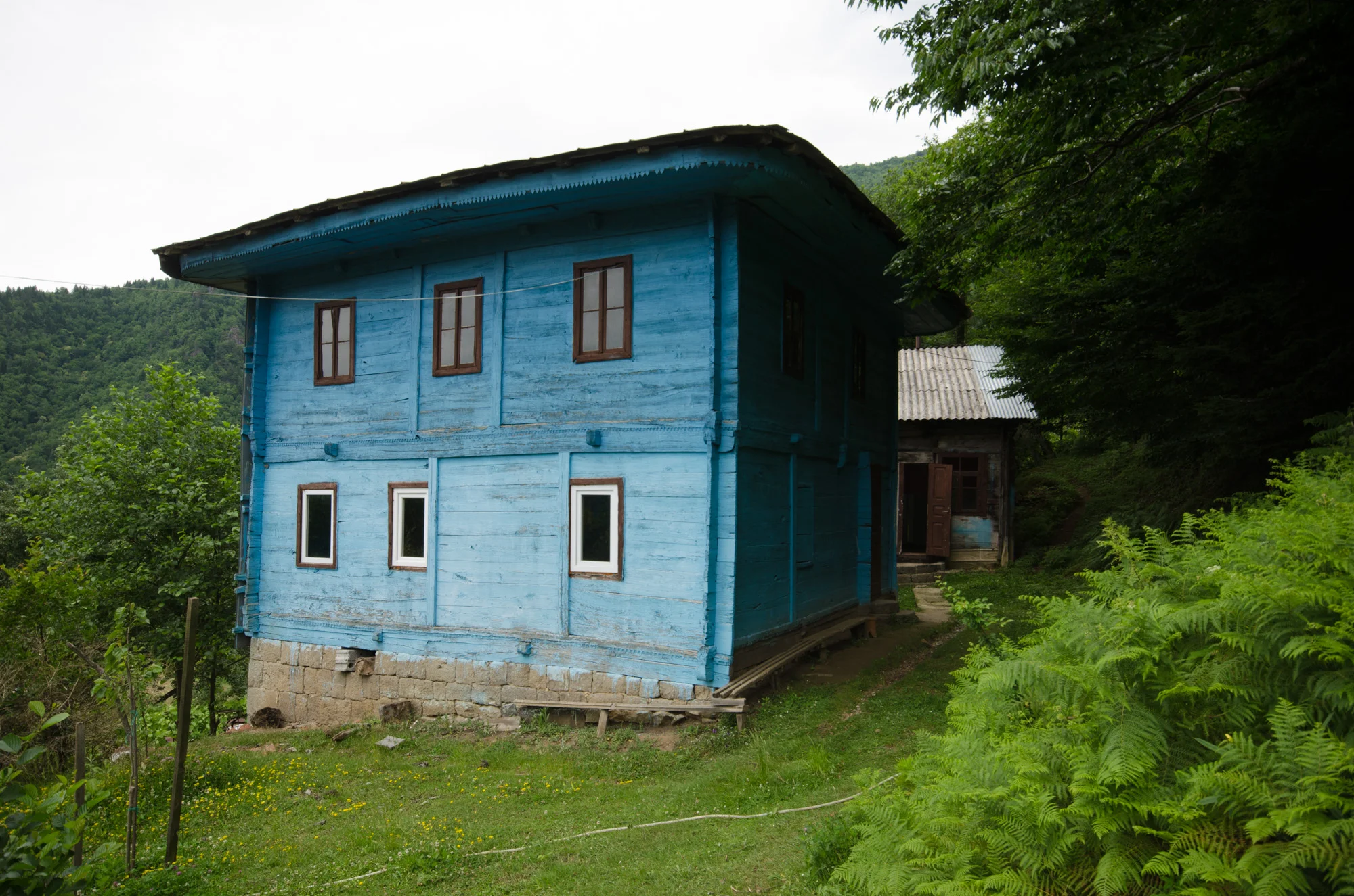 GEGELIDZEEBI_ DSC_0577.jpg