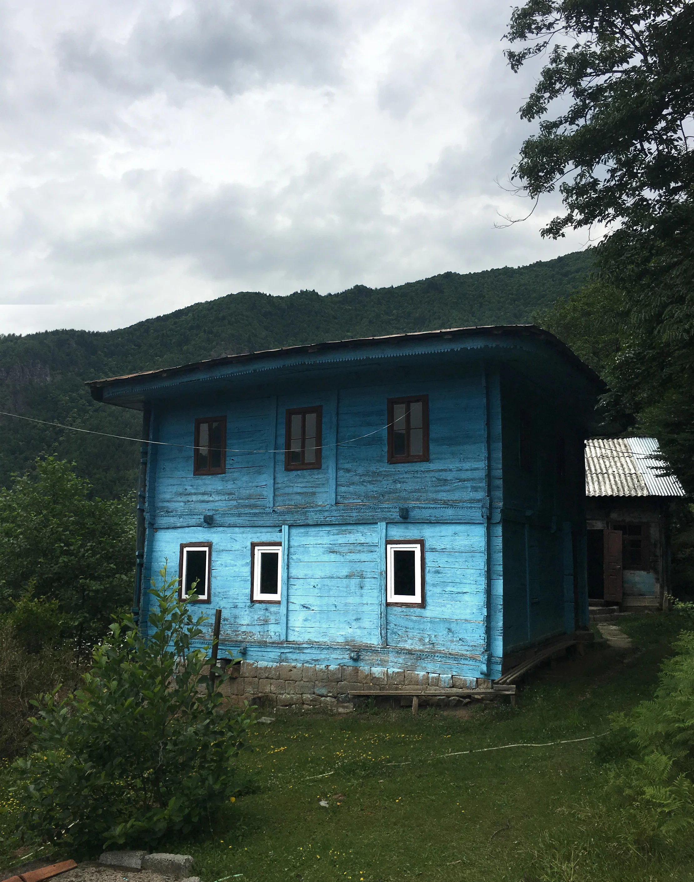 გეგელიძეები