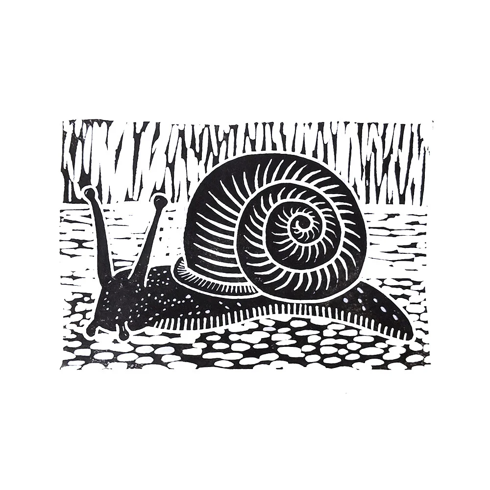 snail white black web.jpg