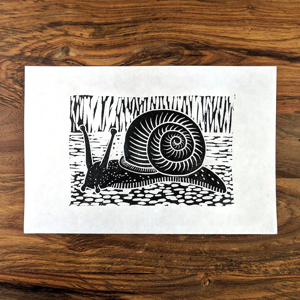snail white black2 web.jpg