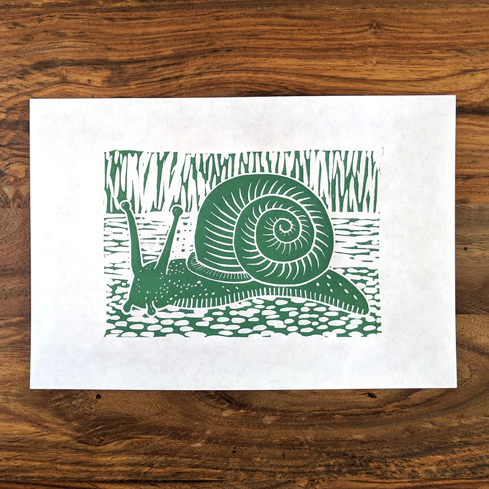snail white green web.jpg