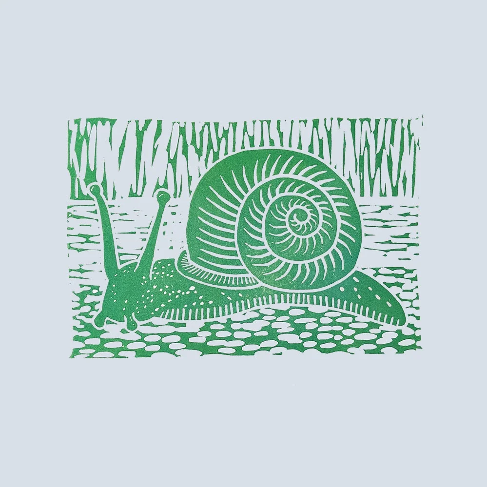 snail+green+gray+web2.jpg