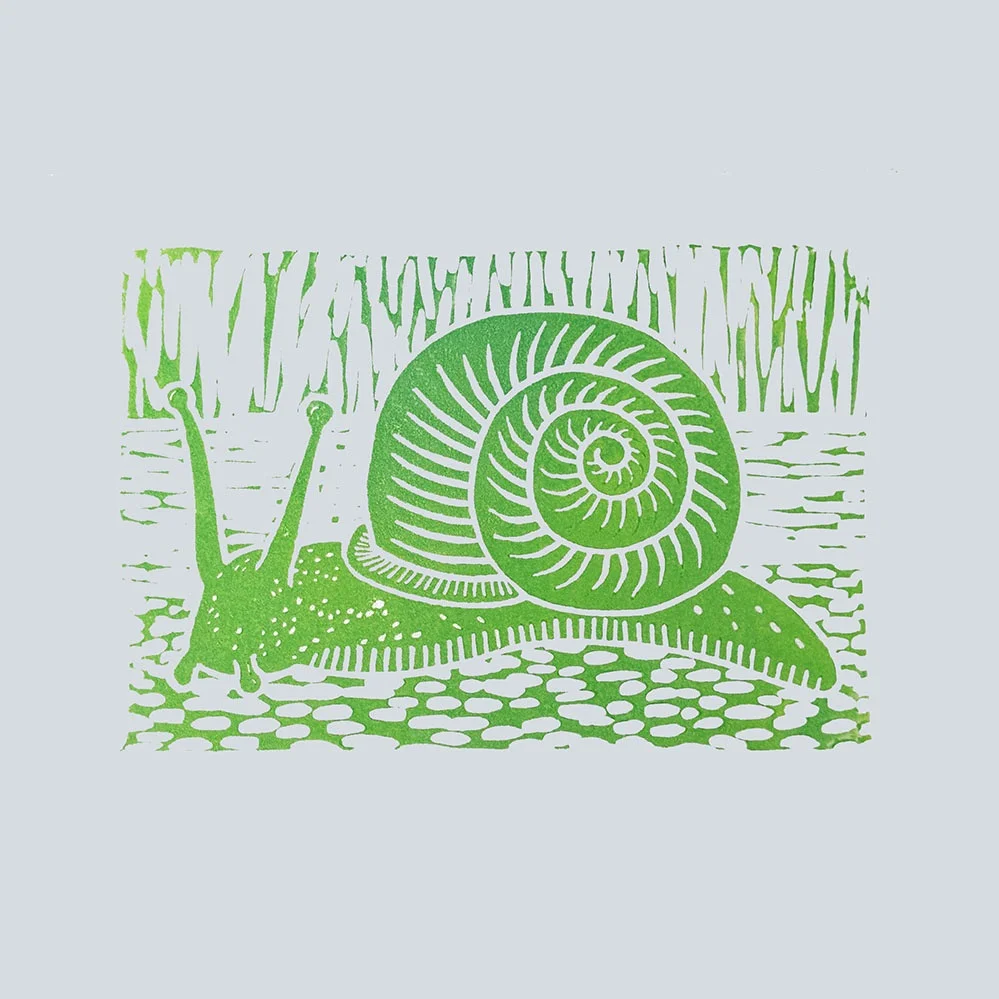 snail+green+gray+web.jpg