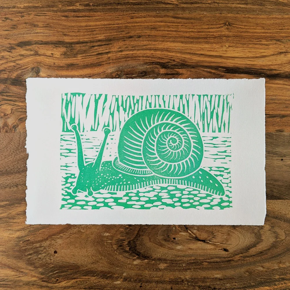 snail+green+web.jpg