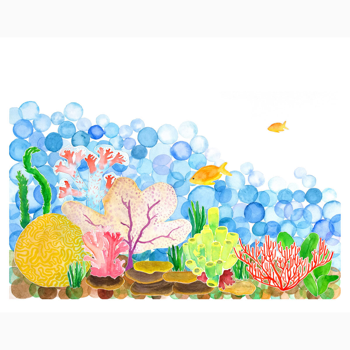 reef-11x14printwebsq.jpg