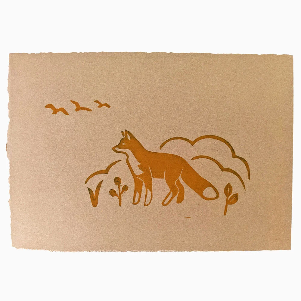 wilderness-orange-webstore.jpg