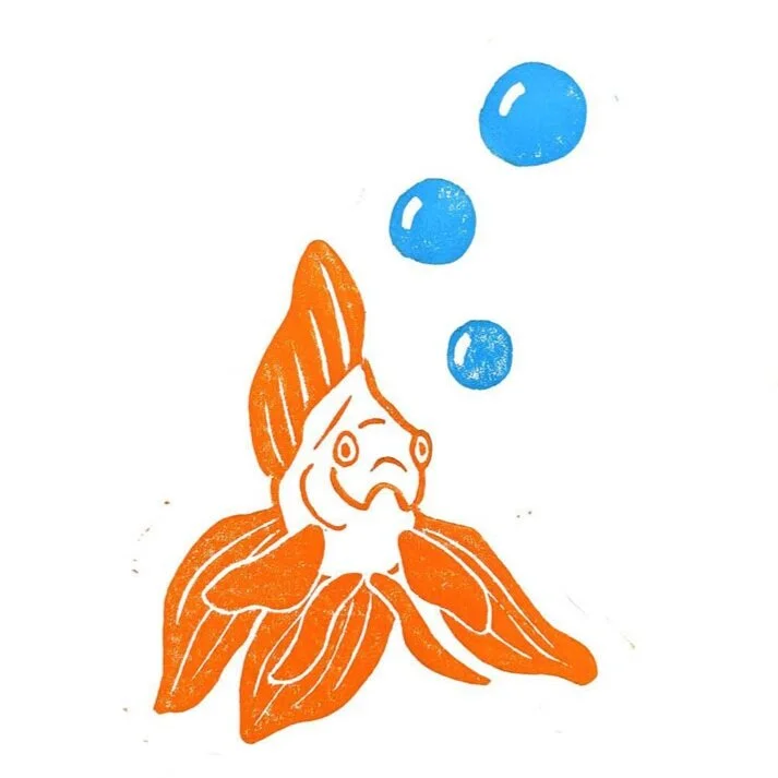 goldfish-bubbles-webstore.jpg