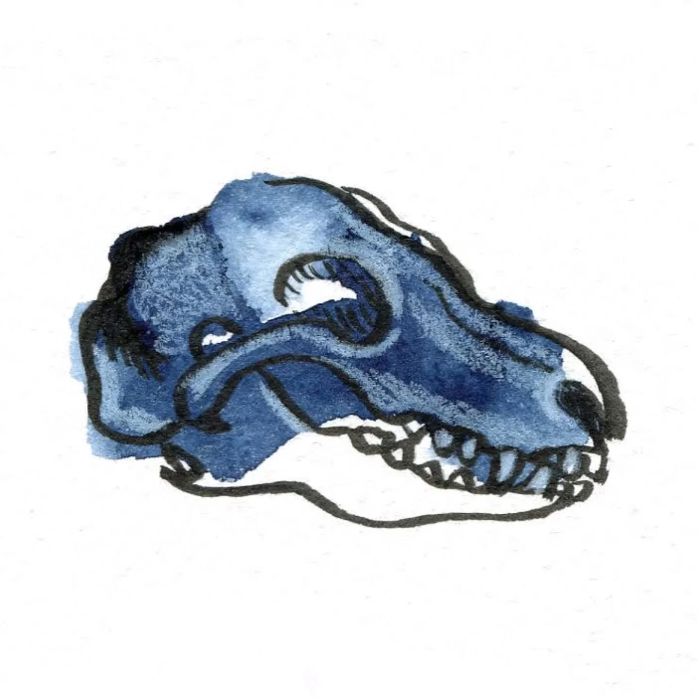 Today's #blobtober - Skull
.
thanks to host @buttercat_paradox