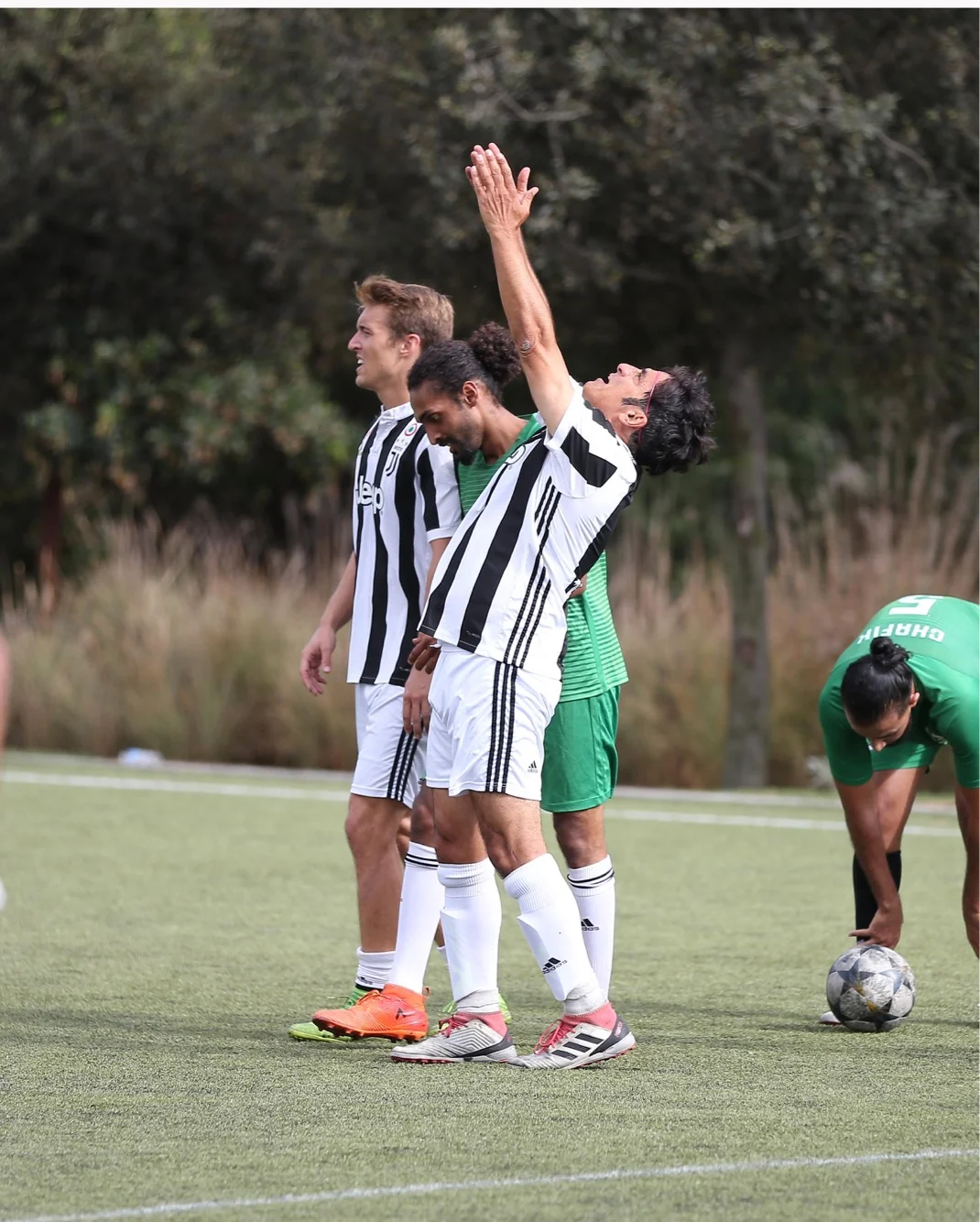 WhatsApp Image 2018-11-06 at 08.49.10.jpeg