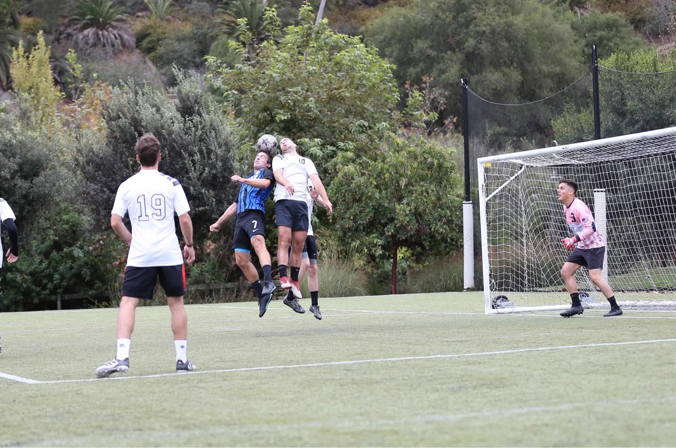 WhatsApp Image 2018-11-06 at 08.48.05.jpeg