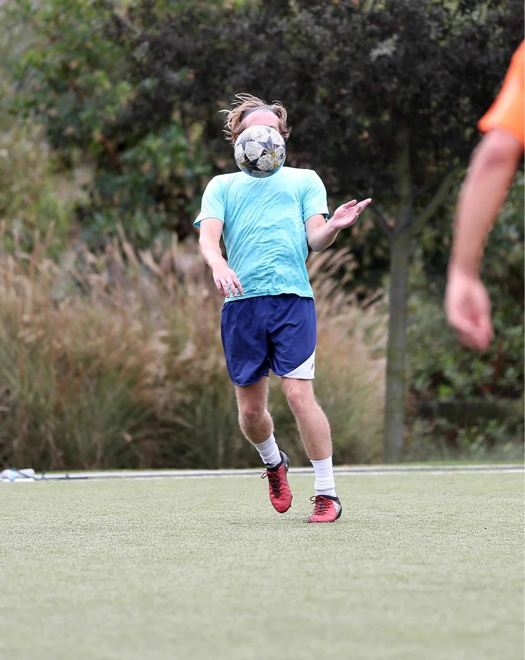 WhatsApp Image 2018-11-06 at 08.36.15.jpeg