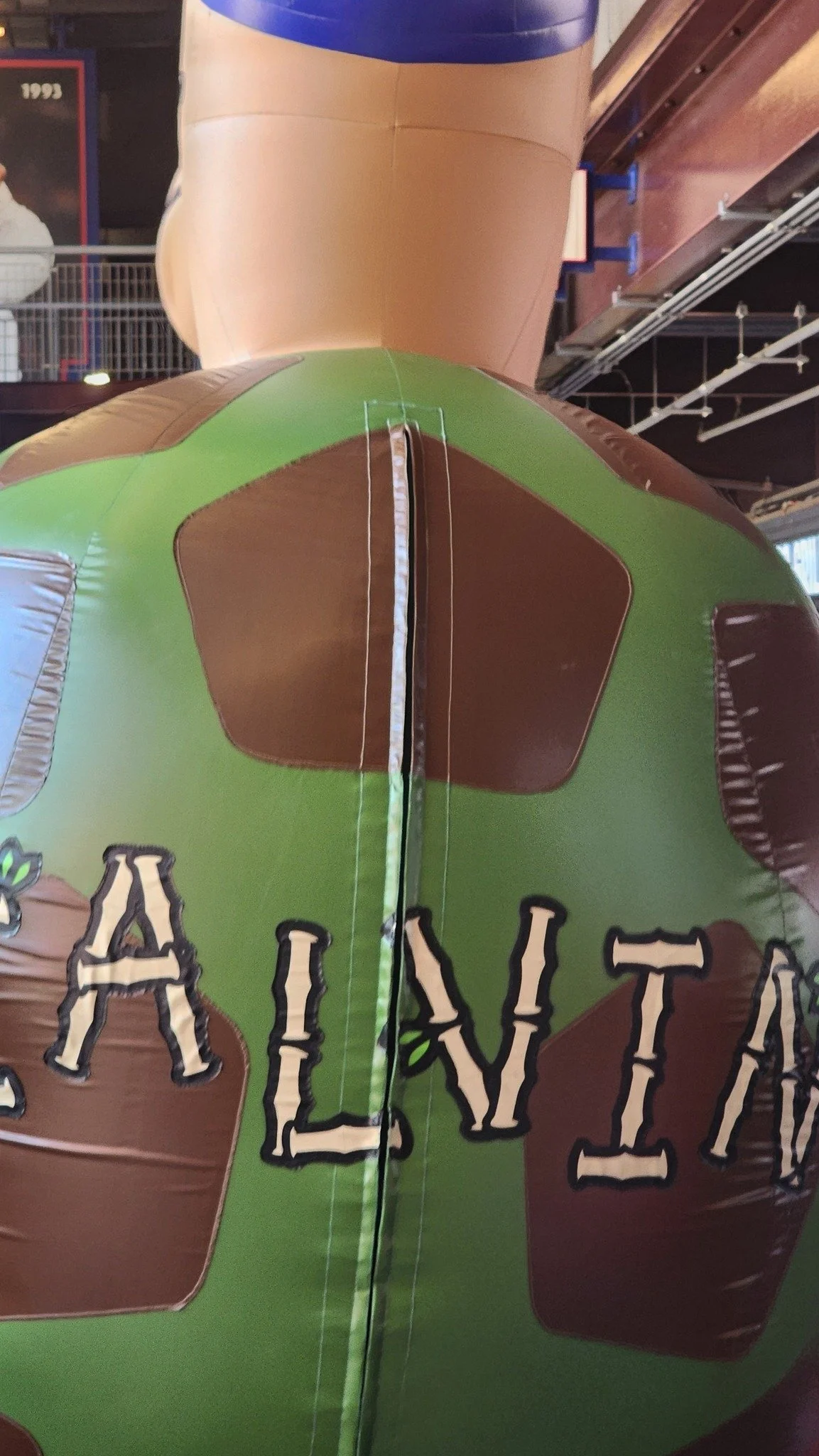 Mascot Calvin the Turtle.jpg